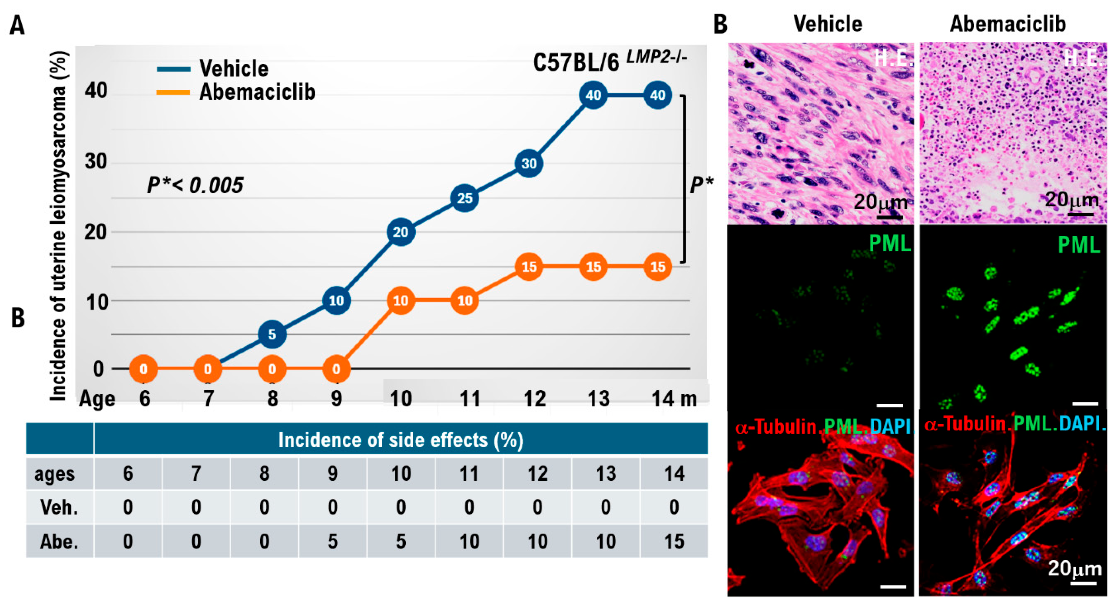 Preprints 185343 g005