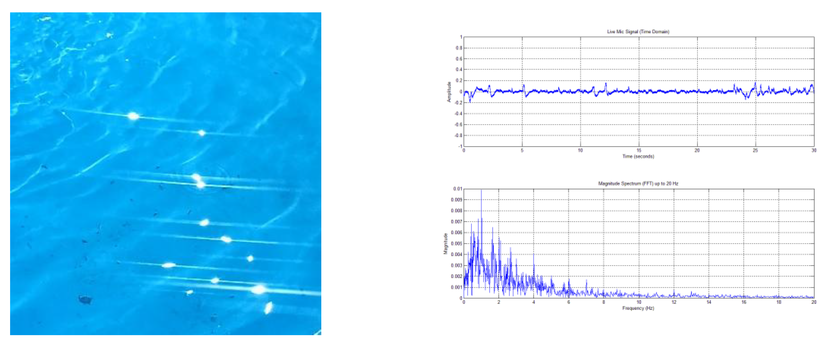 Preprints 161123 g005