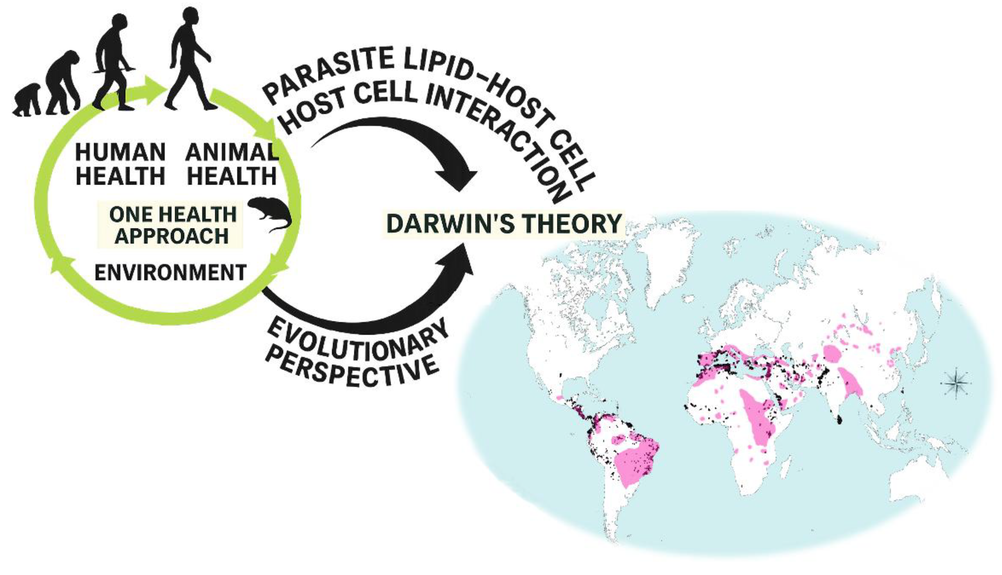 Preprints 194074 g001