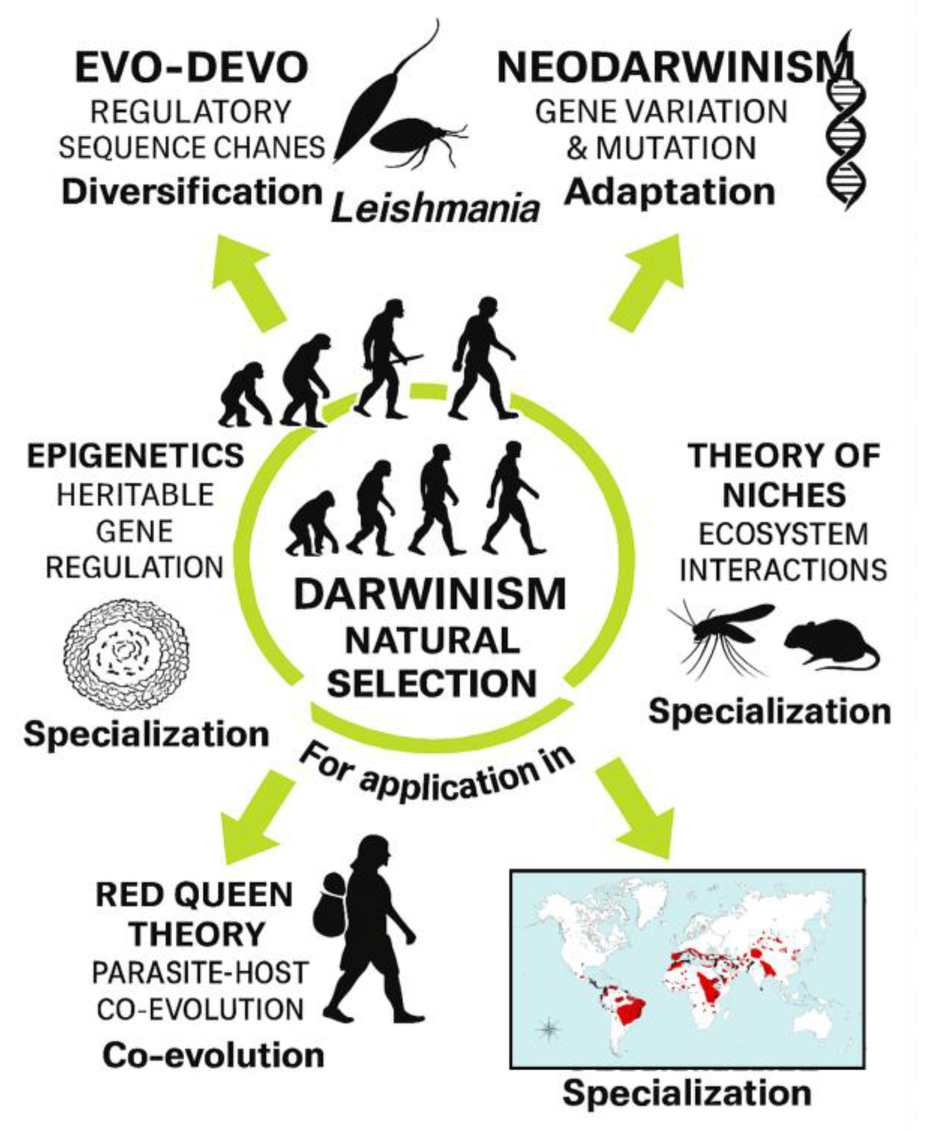 Preprints 194074 g007
