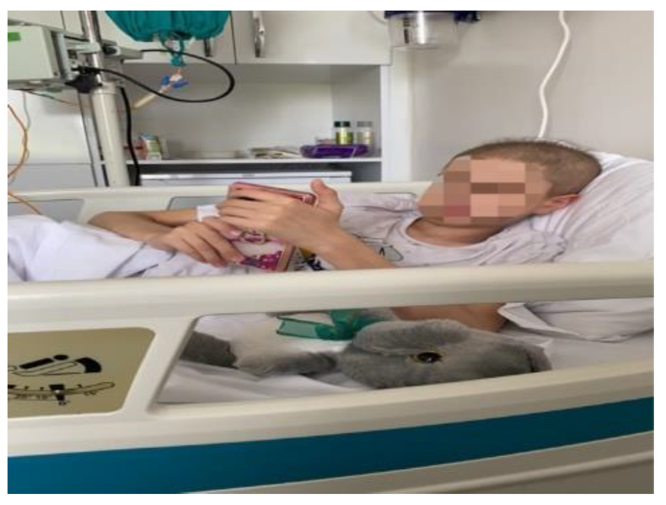 Preprints 149191 g001