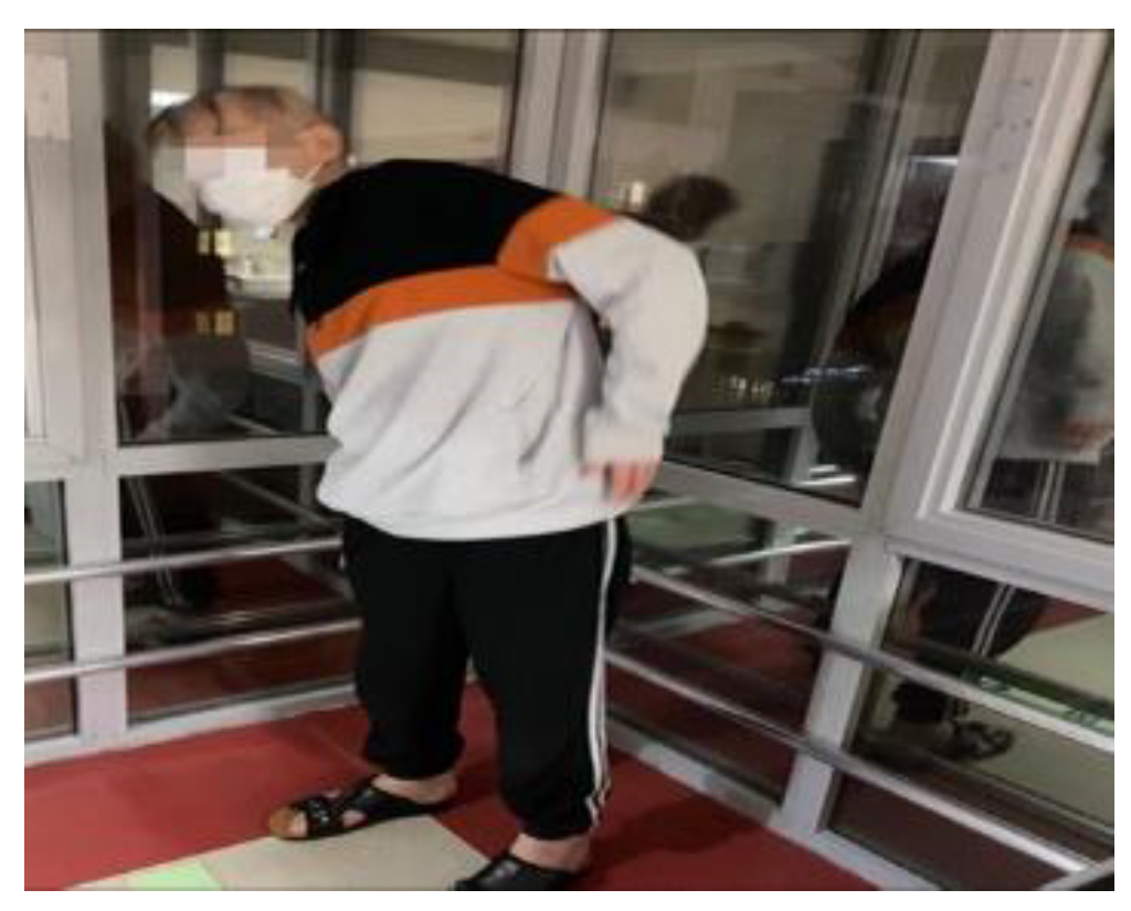 Preprints 149191 g002