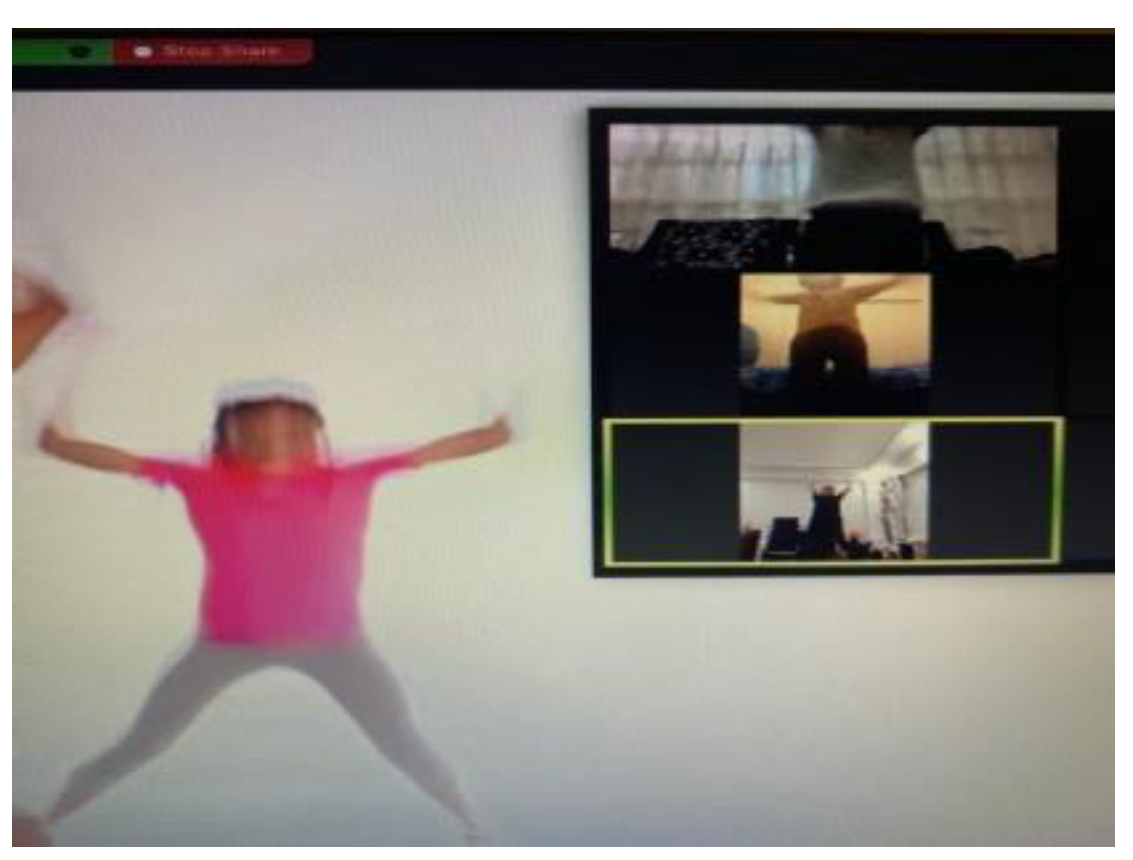 Preprints 149191 g003