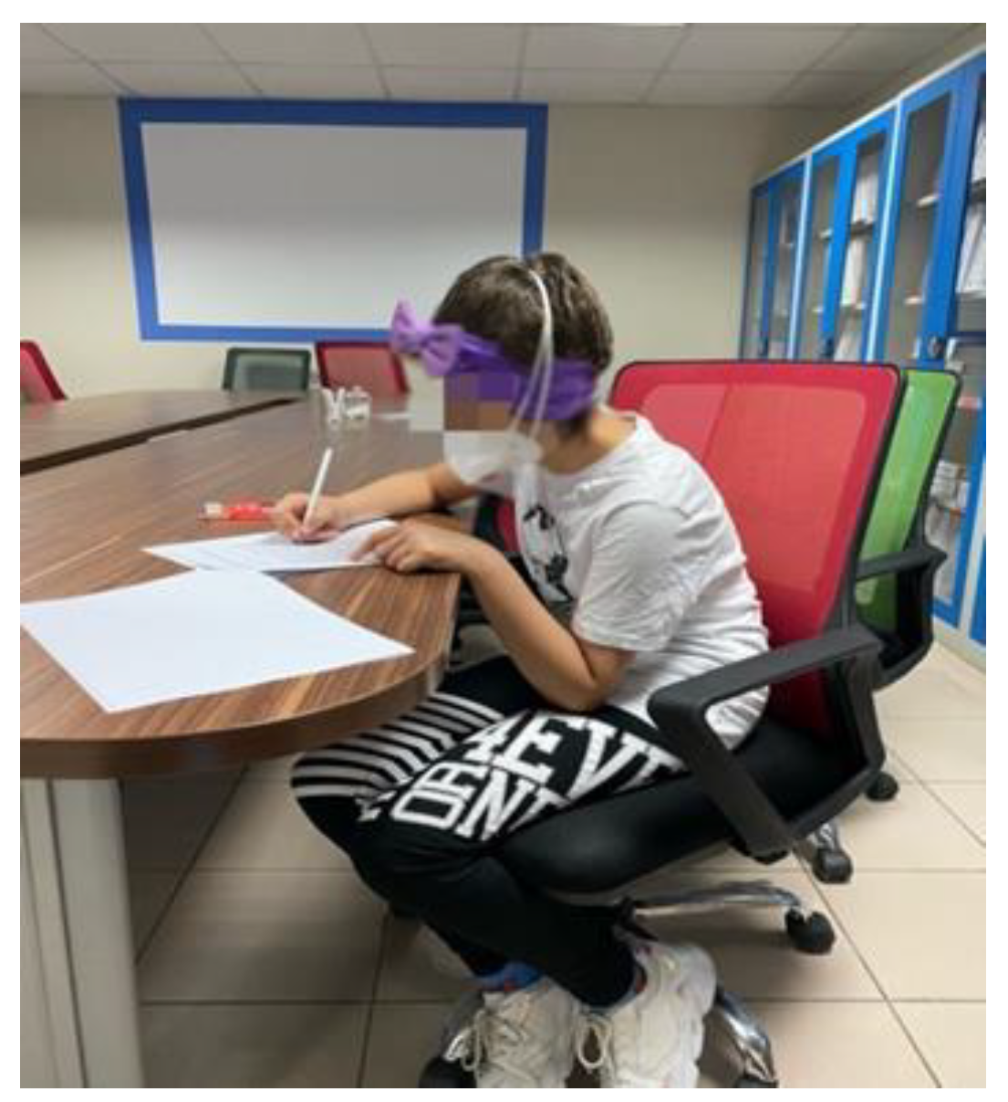 Preprints 149191 g004