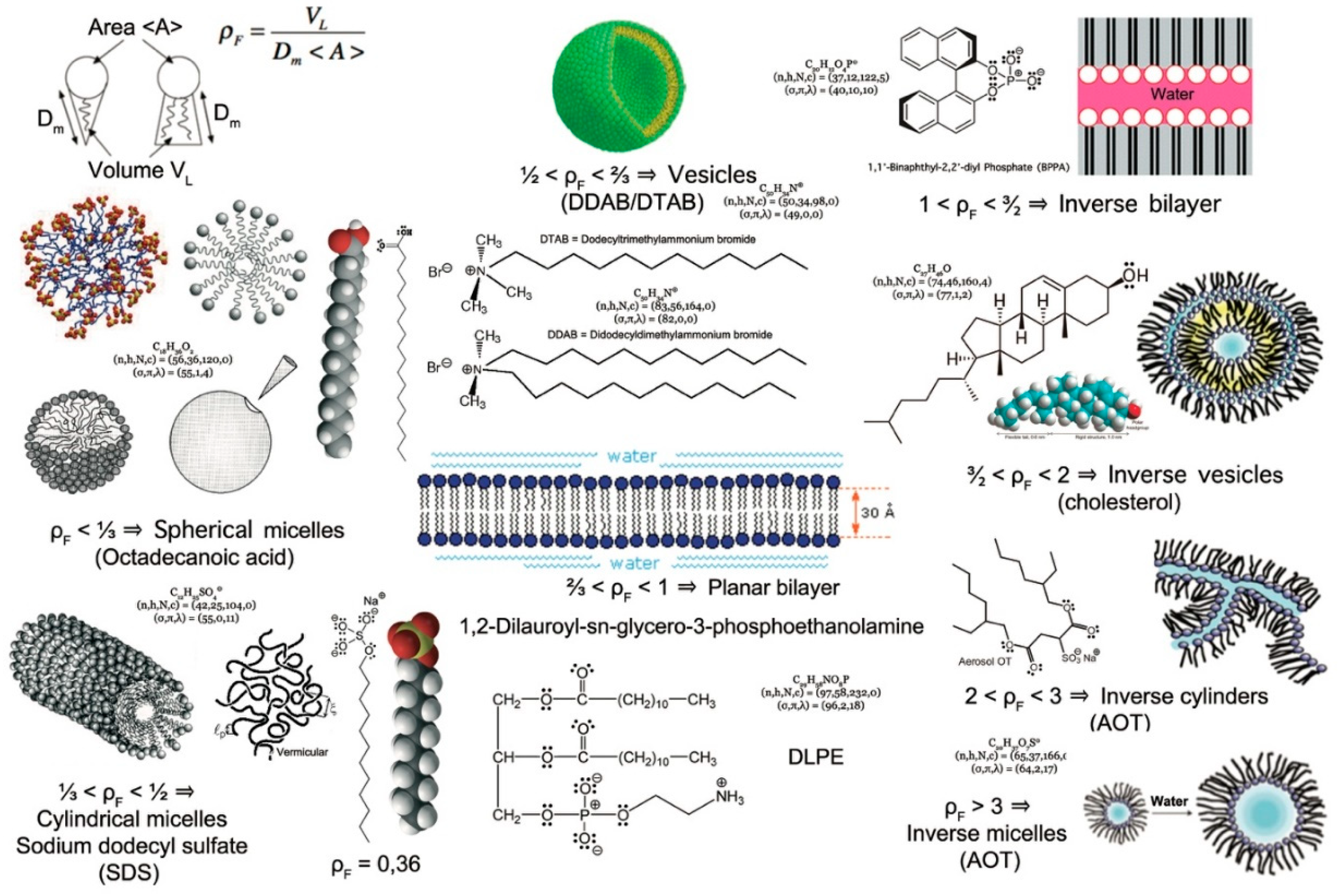 追加画像 まとめ買い10個セット品】堺實光 STD抗菌PC 牛刀(両刃) 18cm 白