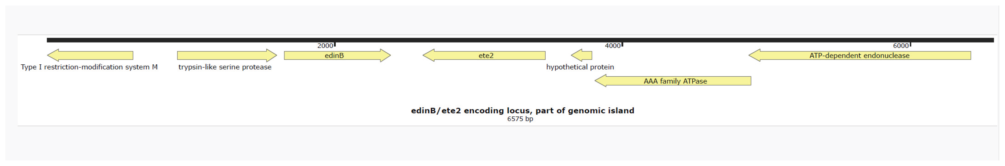 Preprints 164151 g001