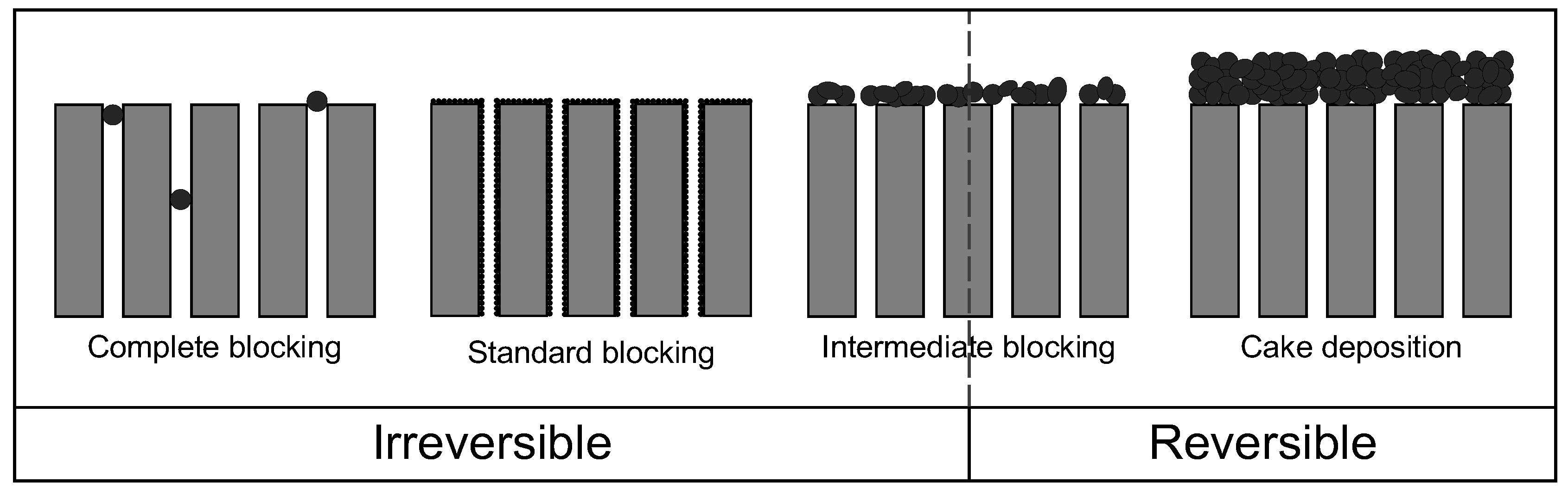 Preprints 148109 g001