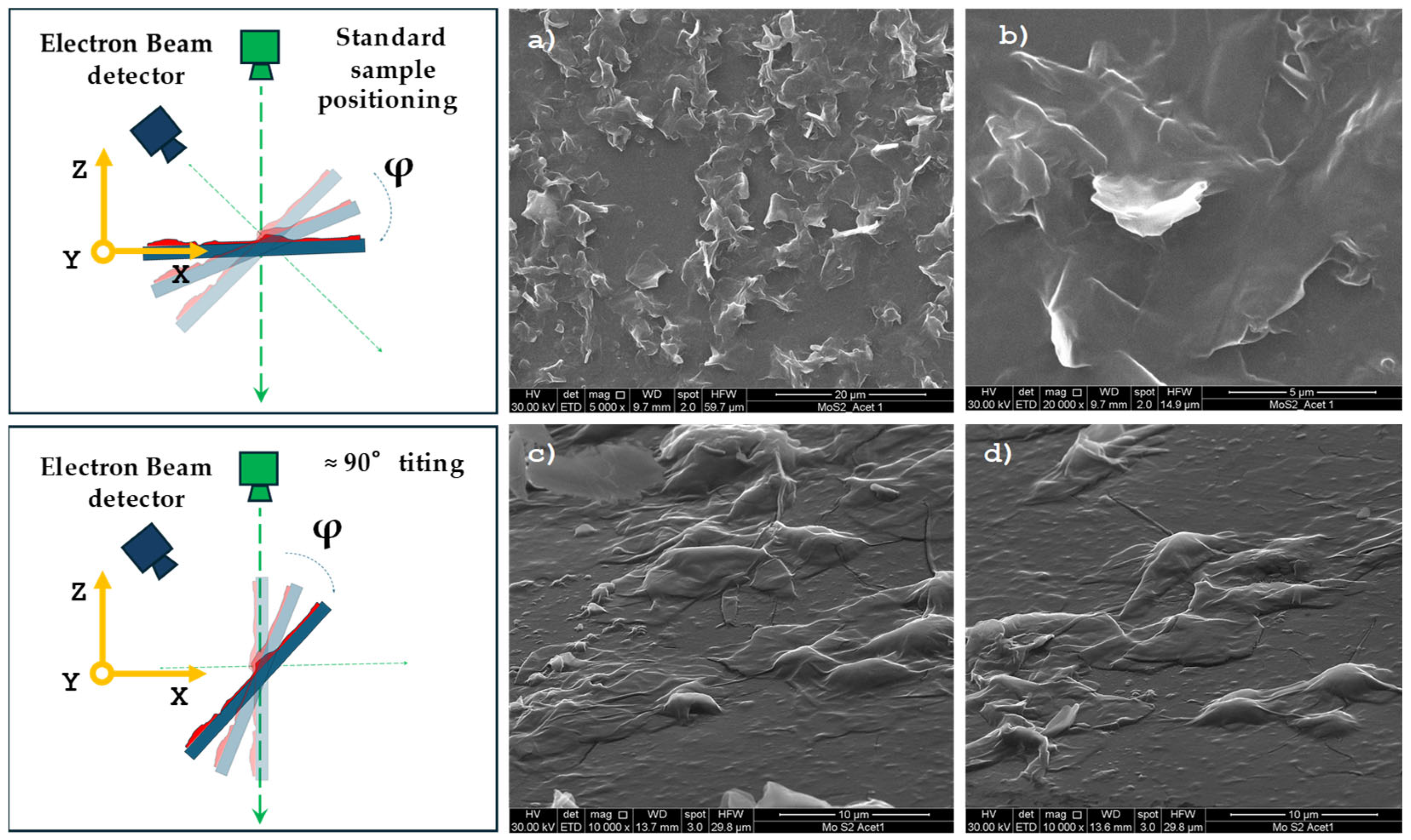 Preprints 190979 g005
