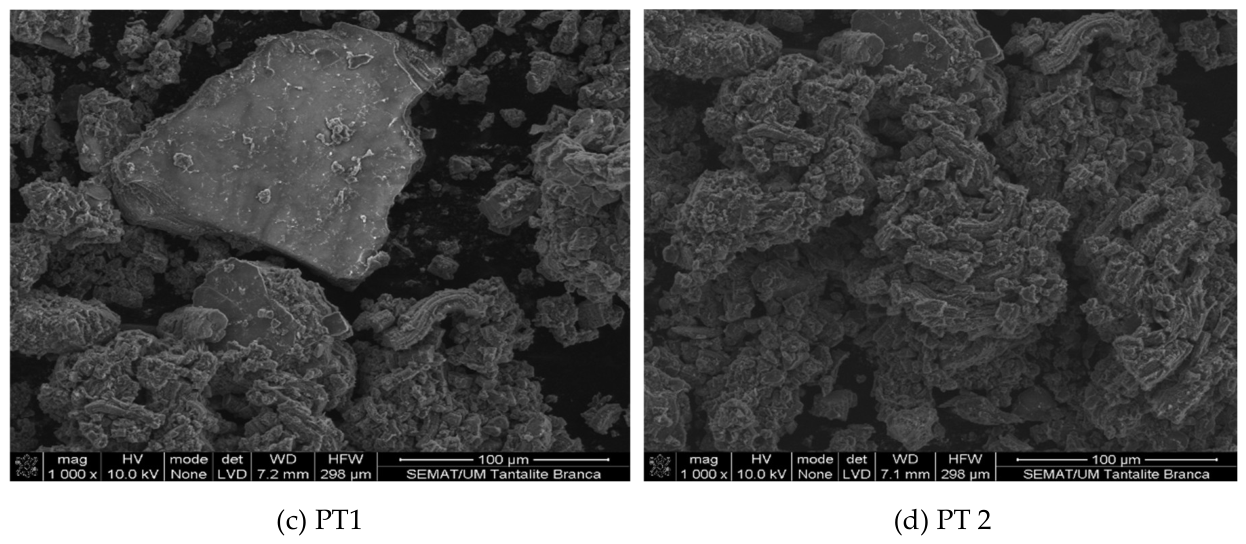 Preprints 233054 g004b