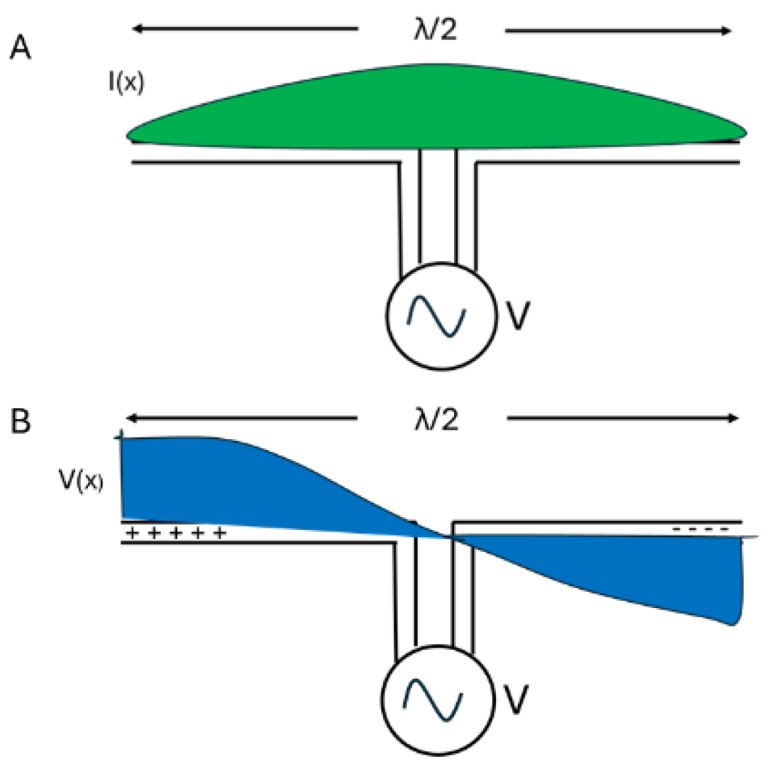 Preprints 157946 g002