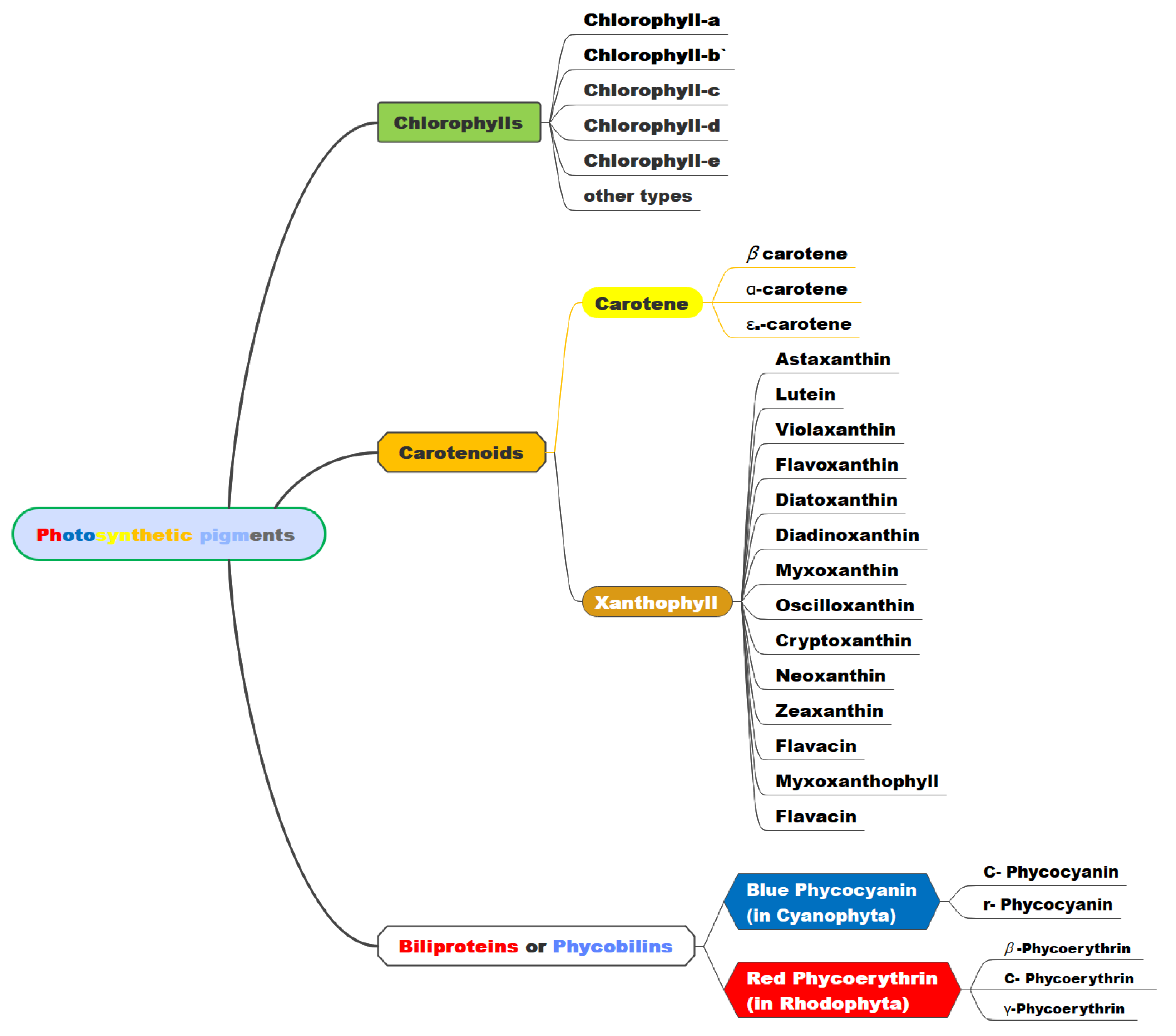 Preprints 216814 g001 Preprints 216814 g001