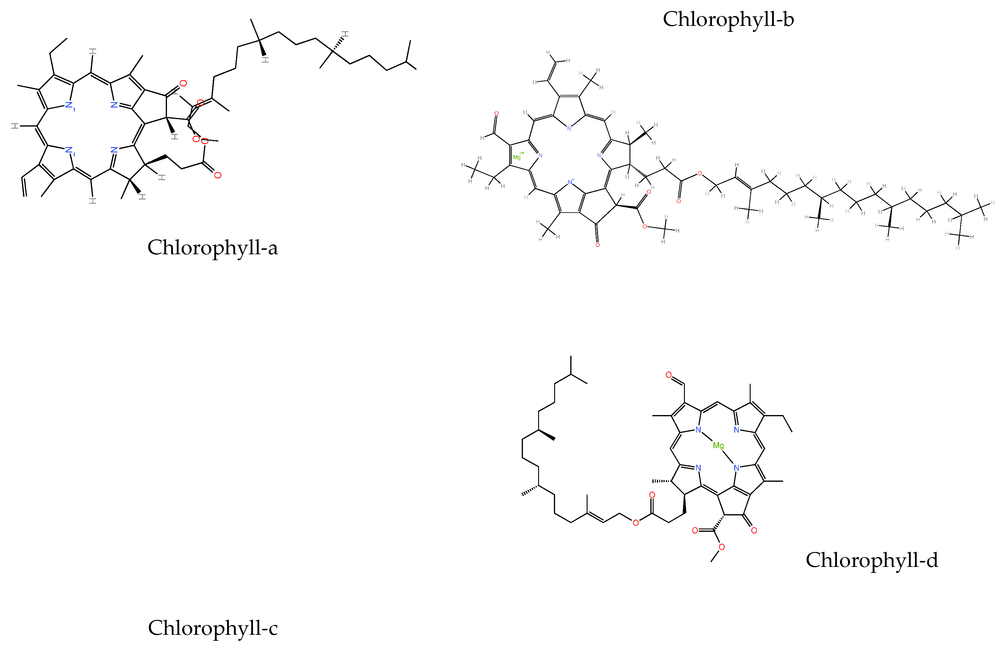Preprints 216814 g002 Preprints 216814 g002