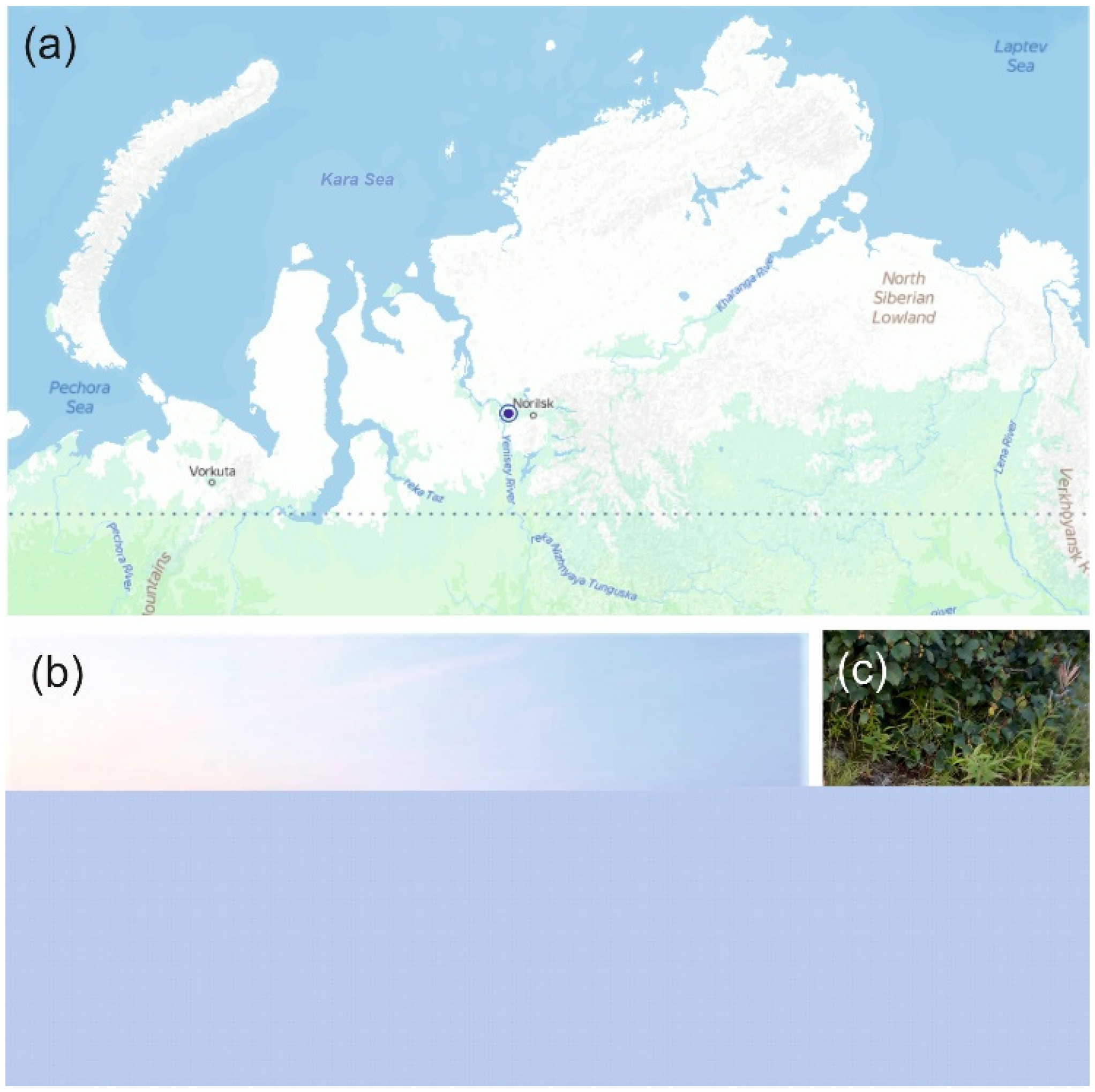 Preprints 87901 g001