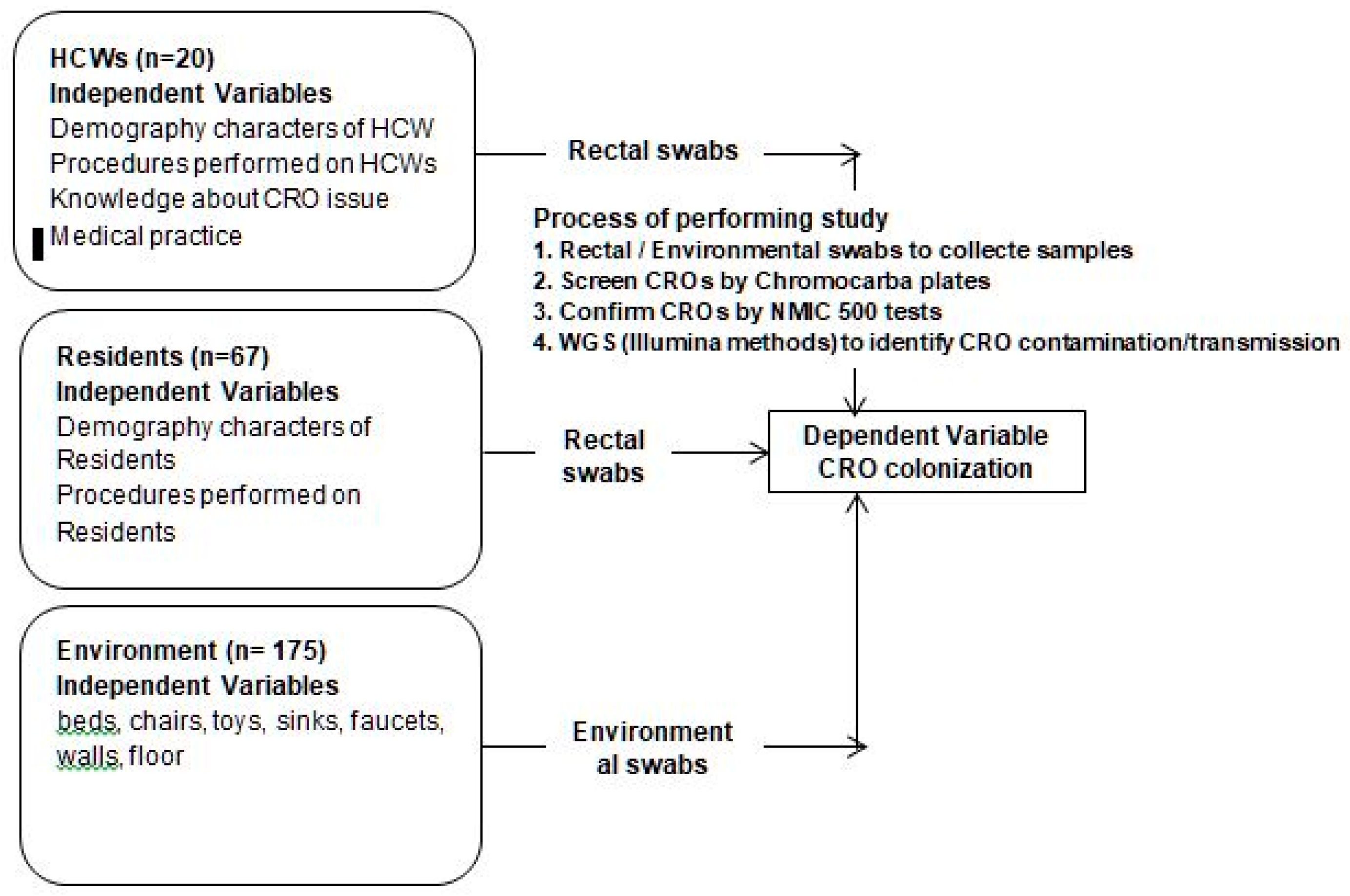 Preprints 142539 g001