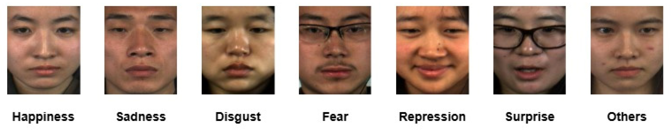 Preprints 197486 g002