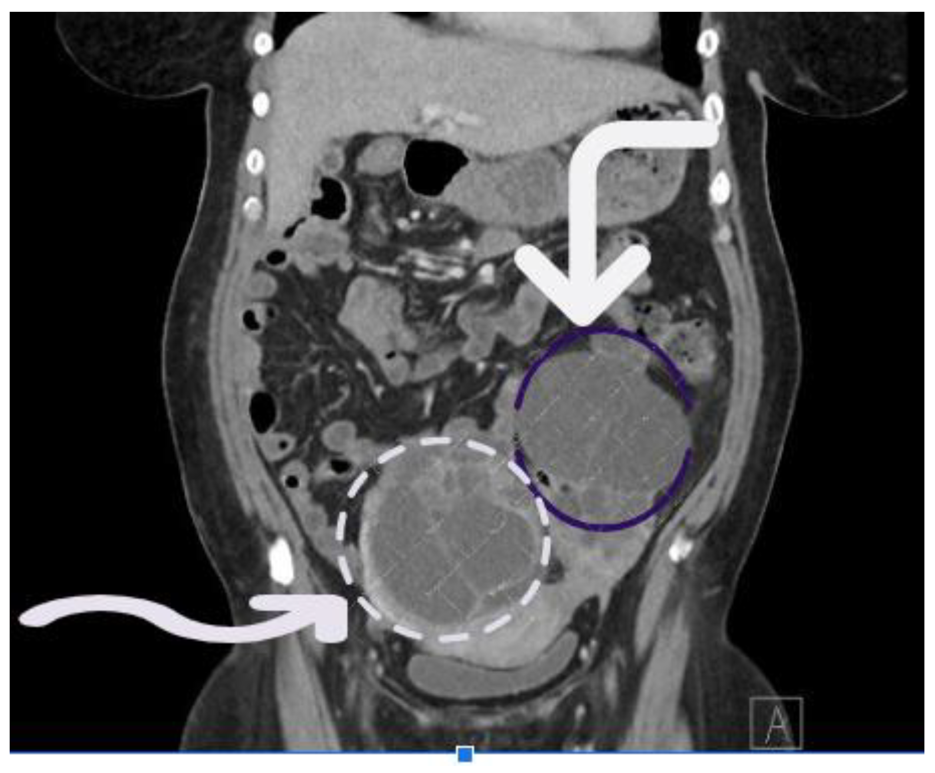 Preprints 149516 g001