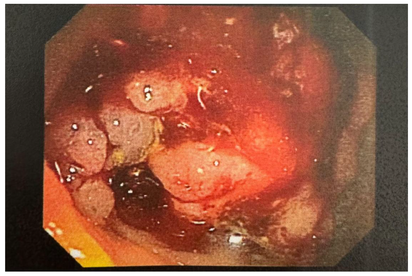 Preprints 149516 g002