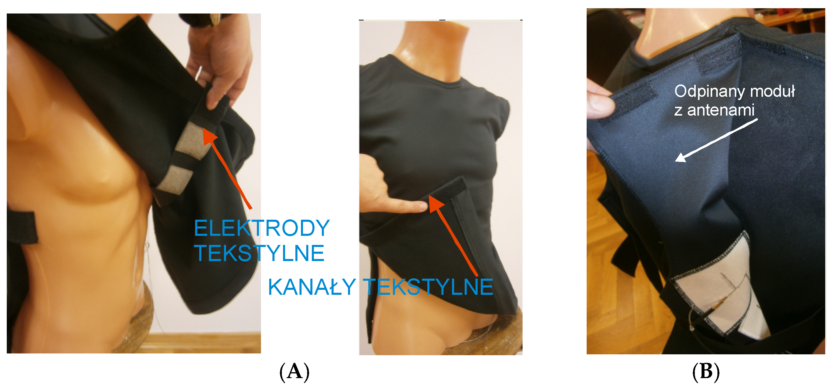 Preprints 193338 g002