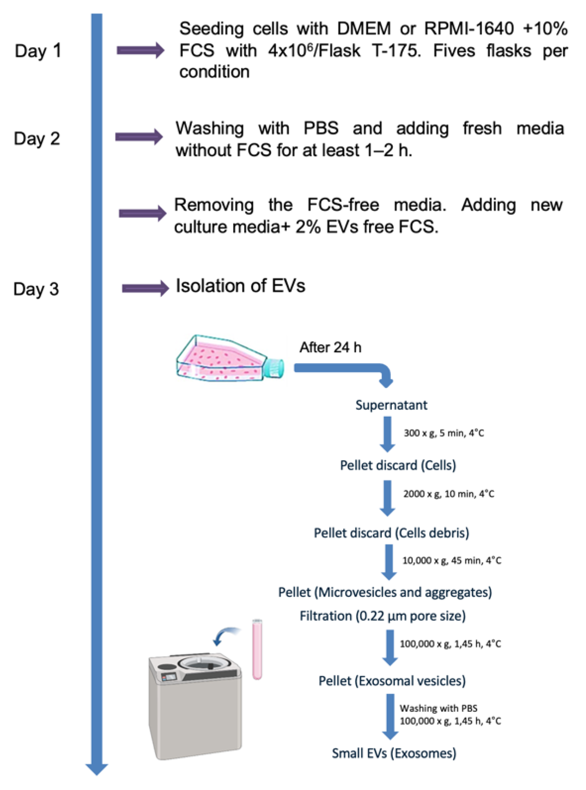 Preprints 140252 g001