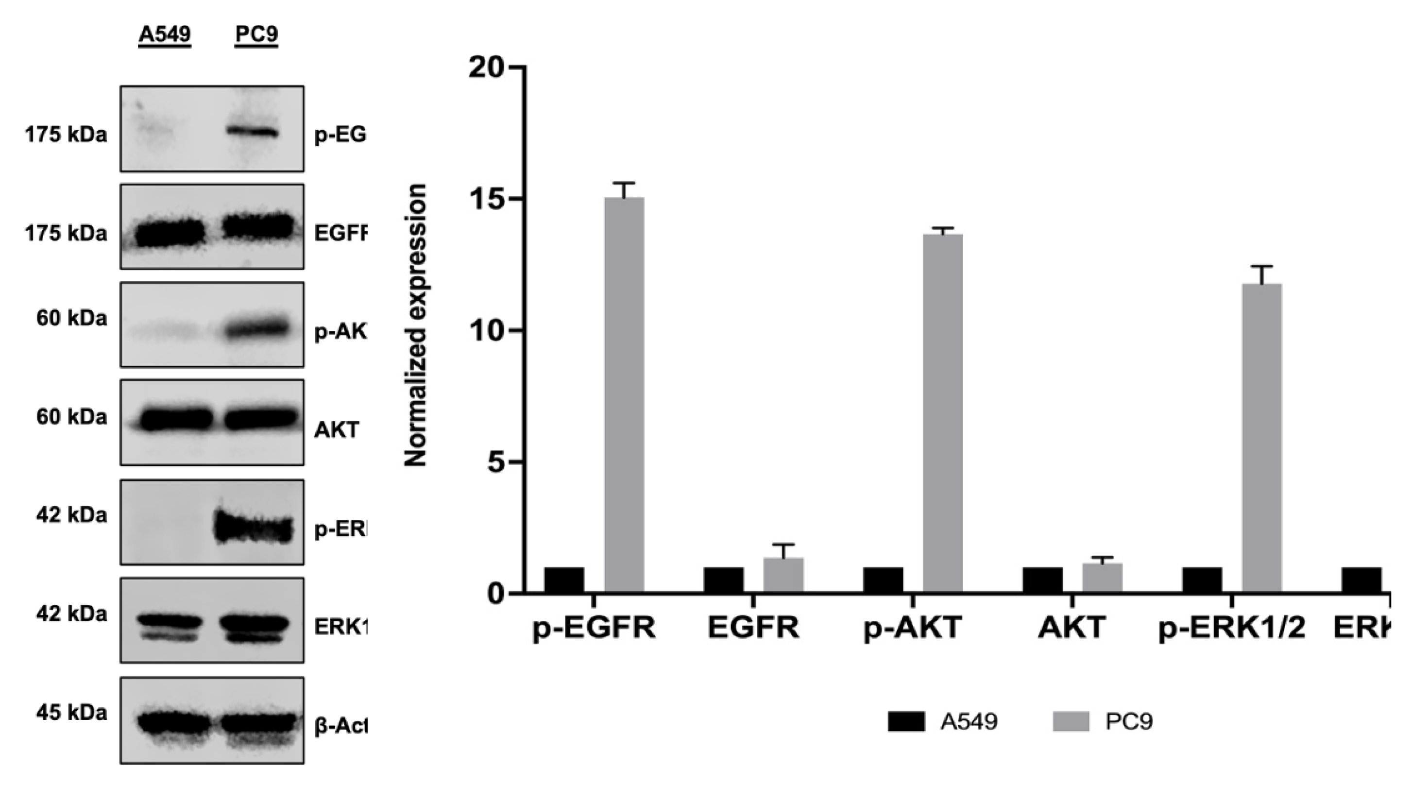 Preprints 140252 g002