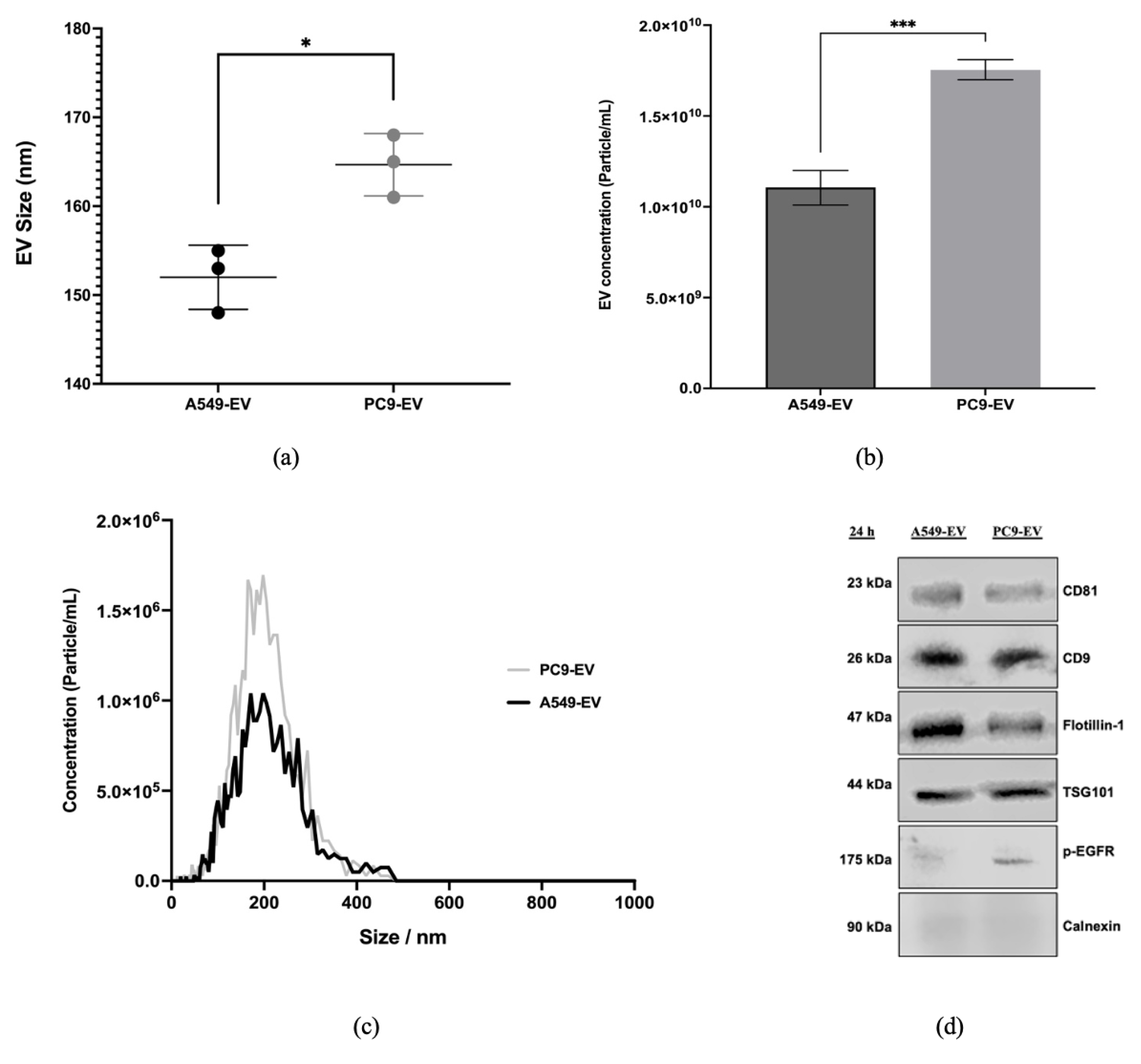 Preprints 140252 g003