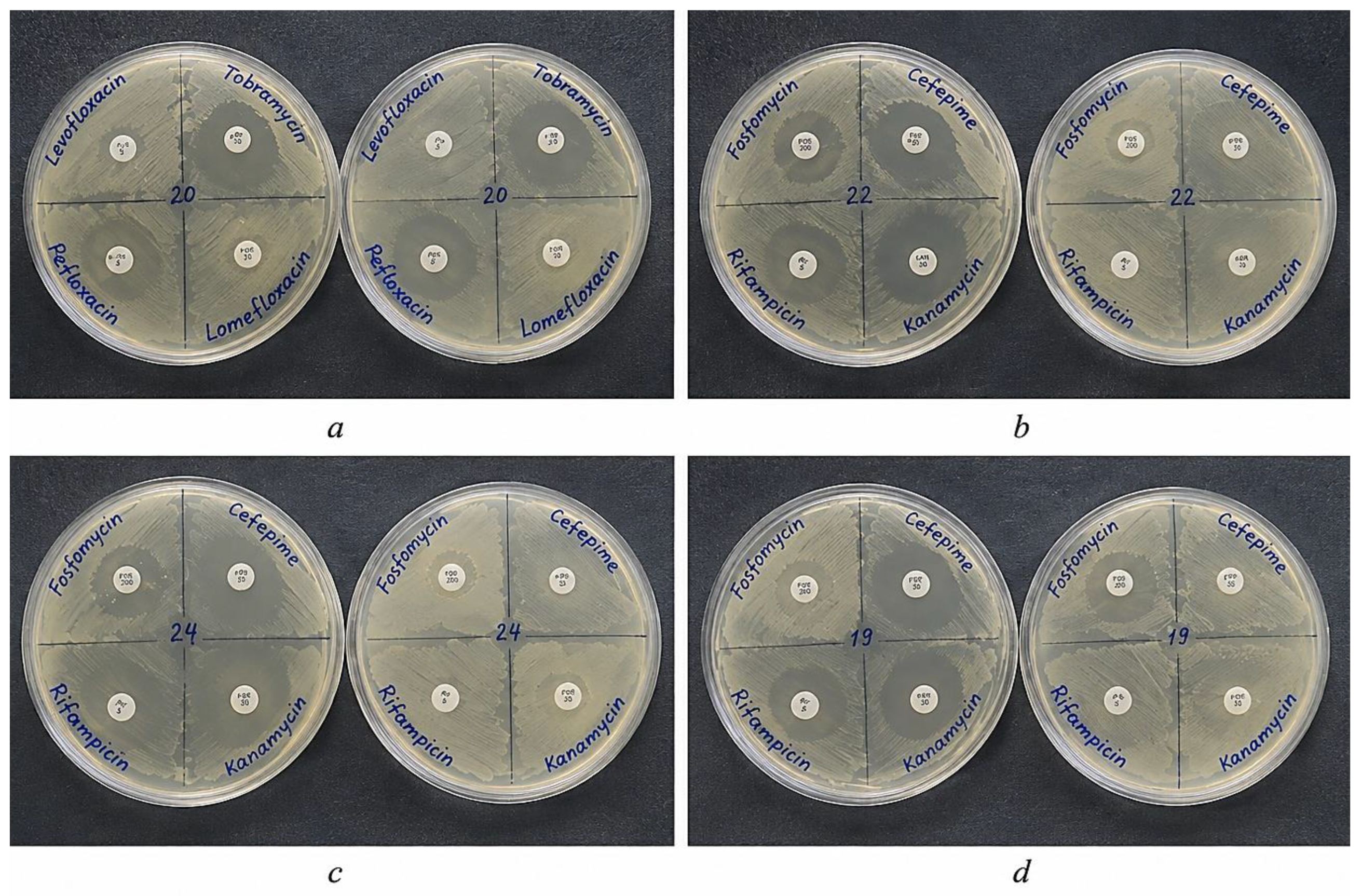 Preprints 227556 g002 Preprints 227556 g002