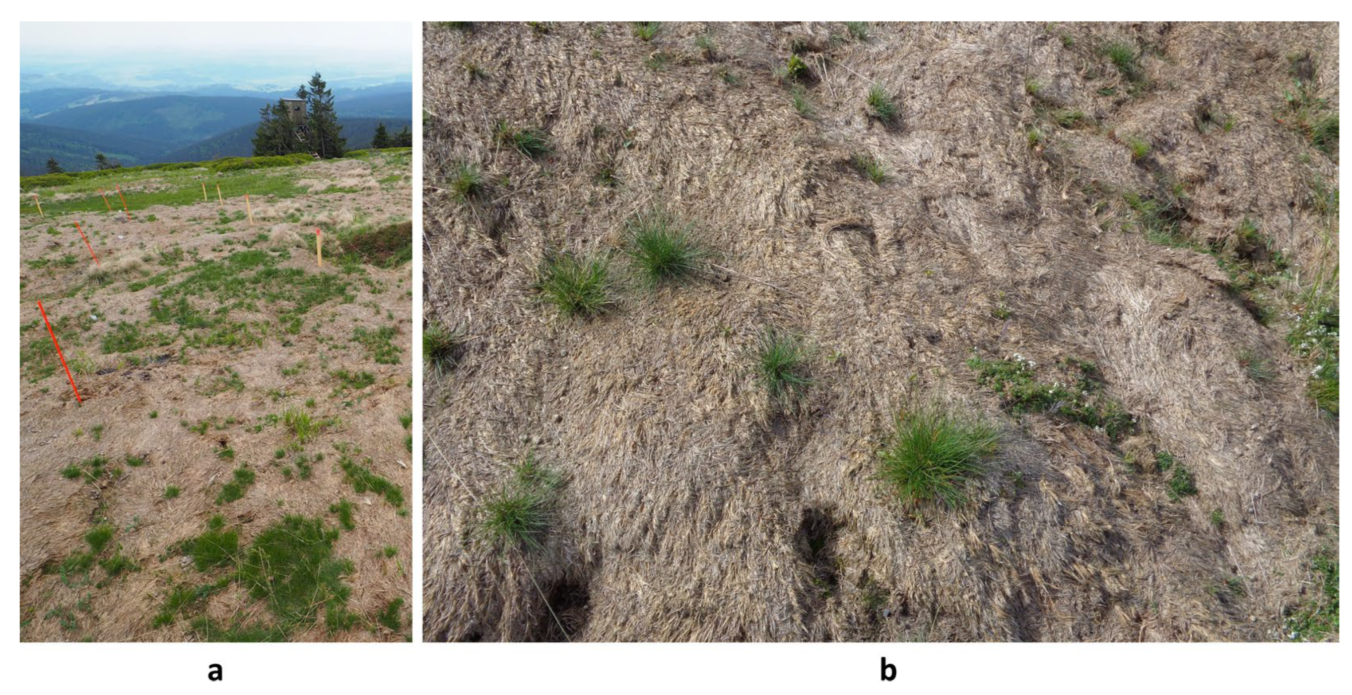 Preprints 198656 g001