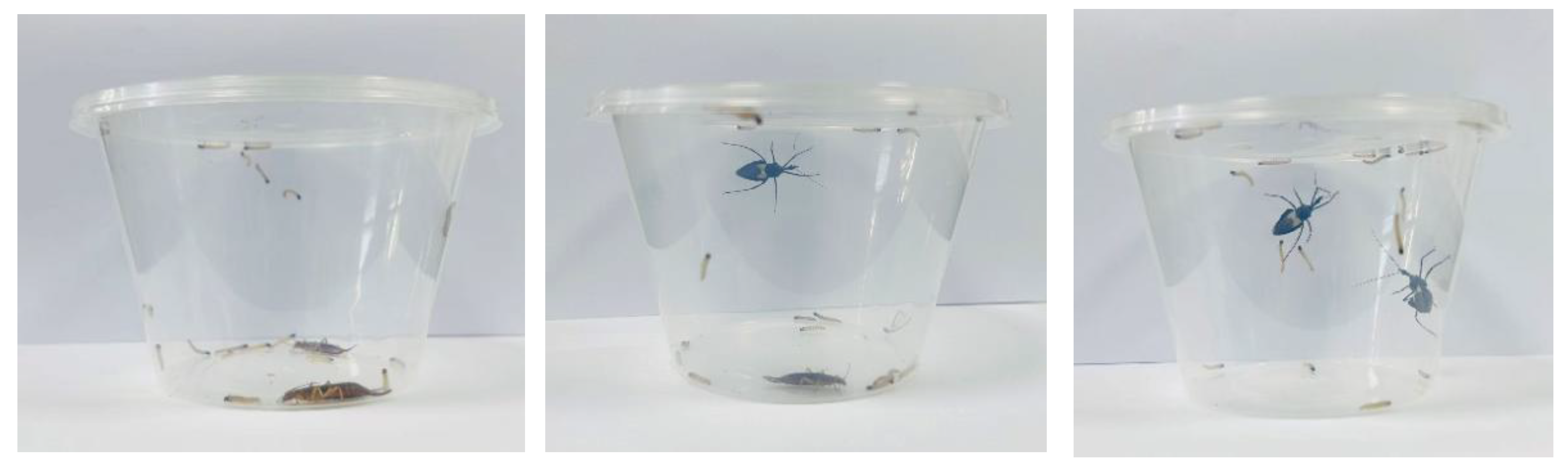 Preprints 189105 g002