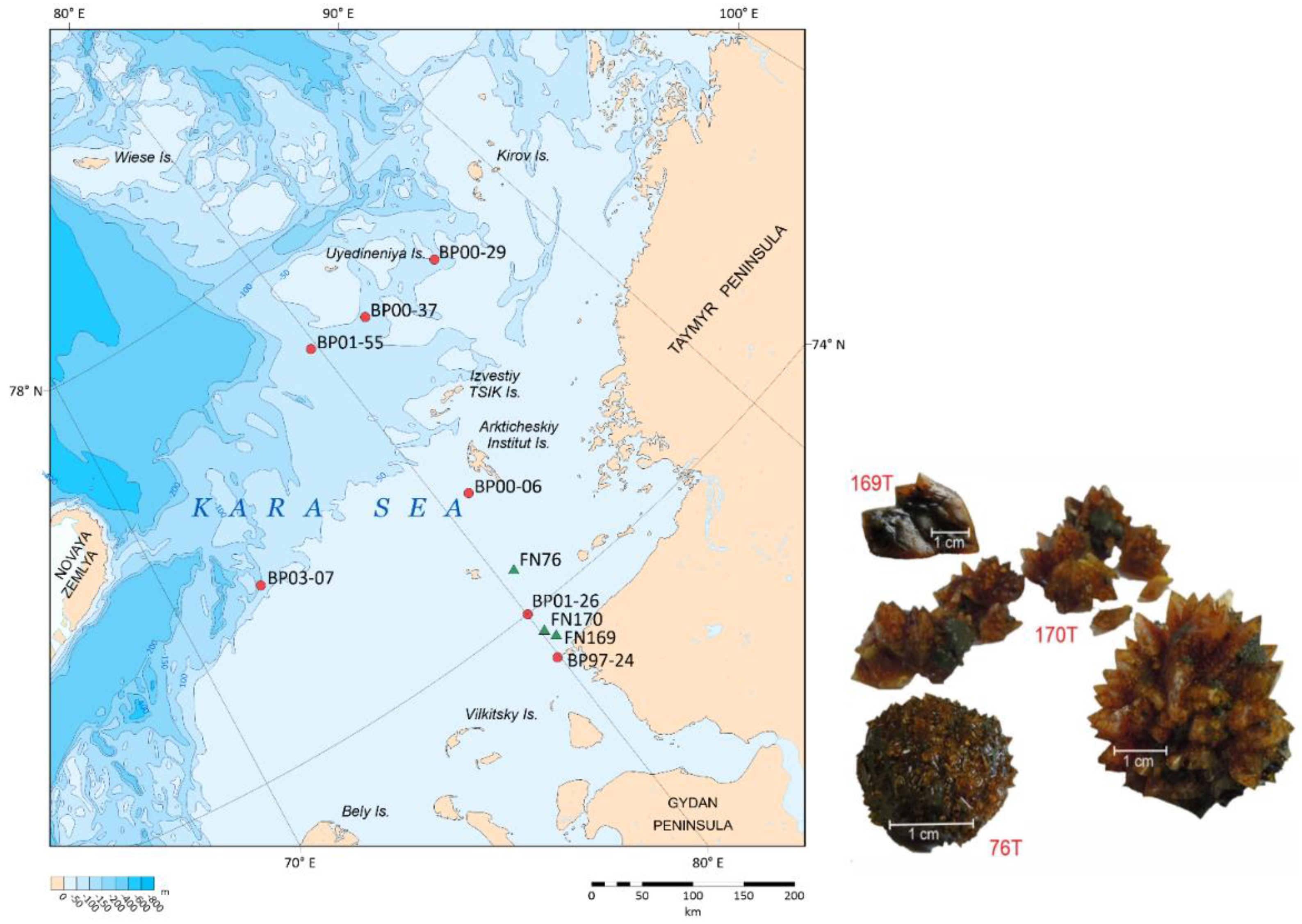 Preprints 142357 g001