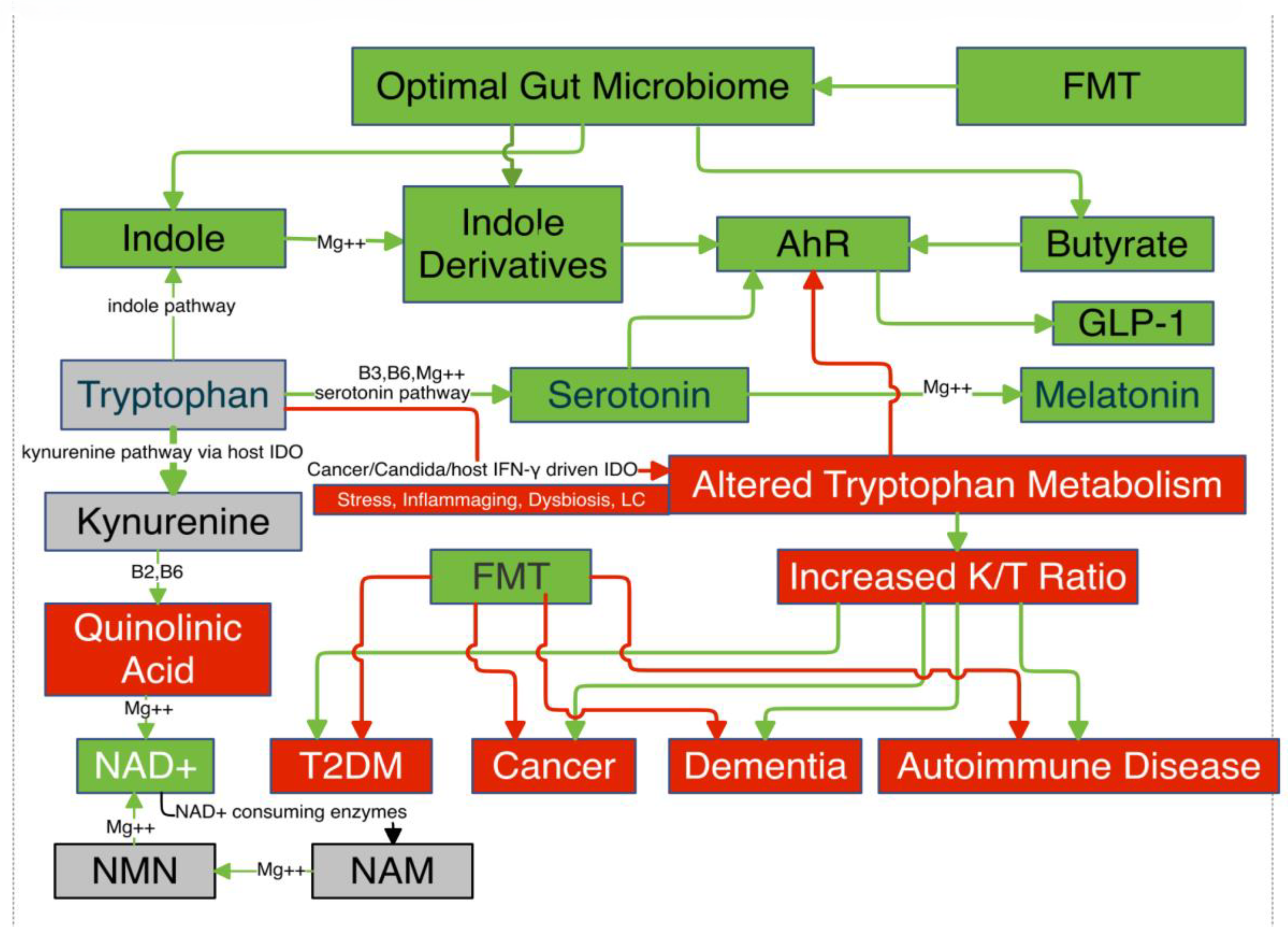 Preprints 139005 g001