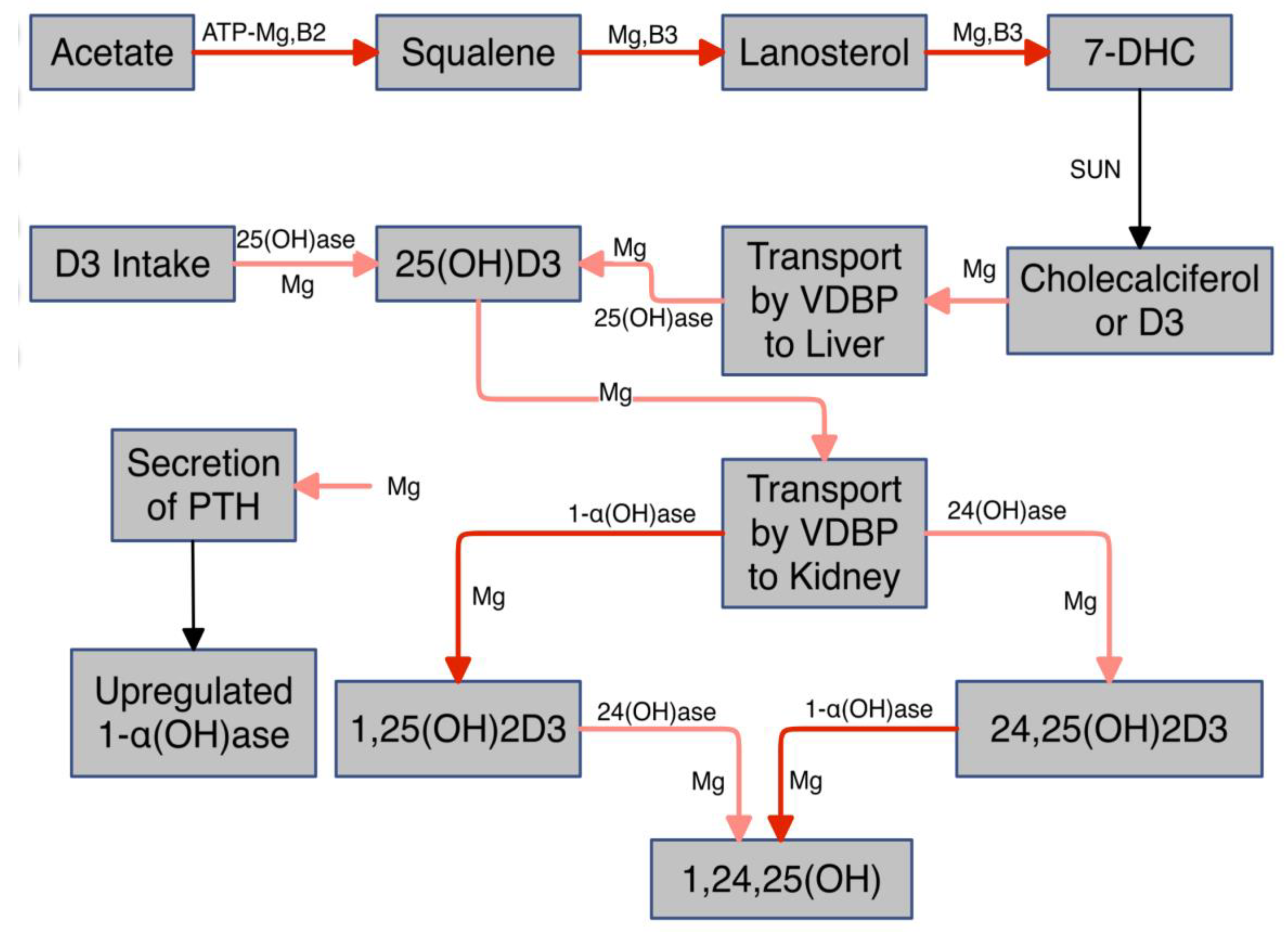 Preprints 139005 g002
