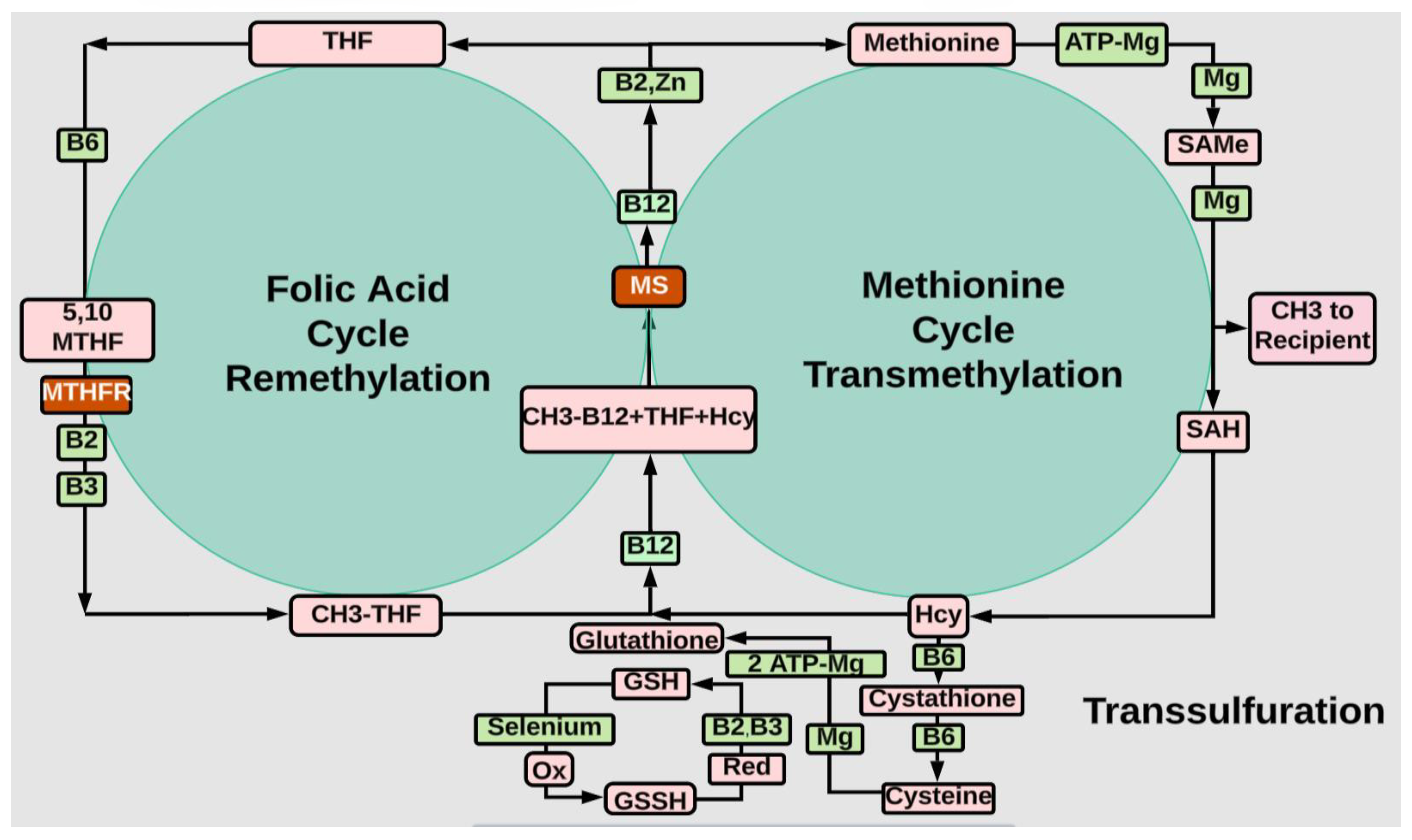 Preprints 139005 g003