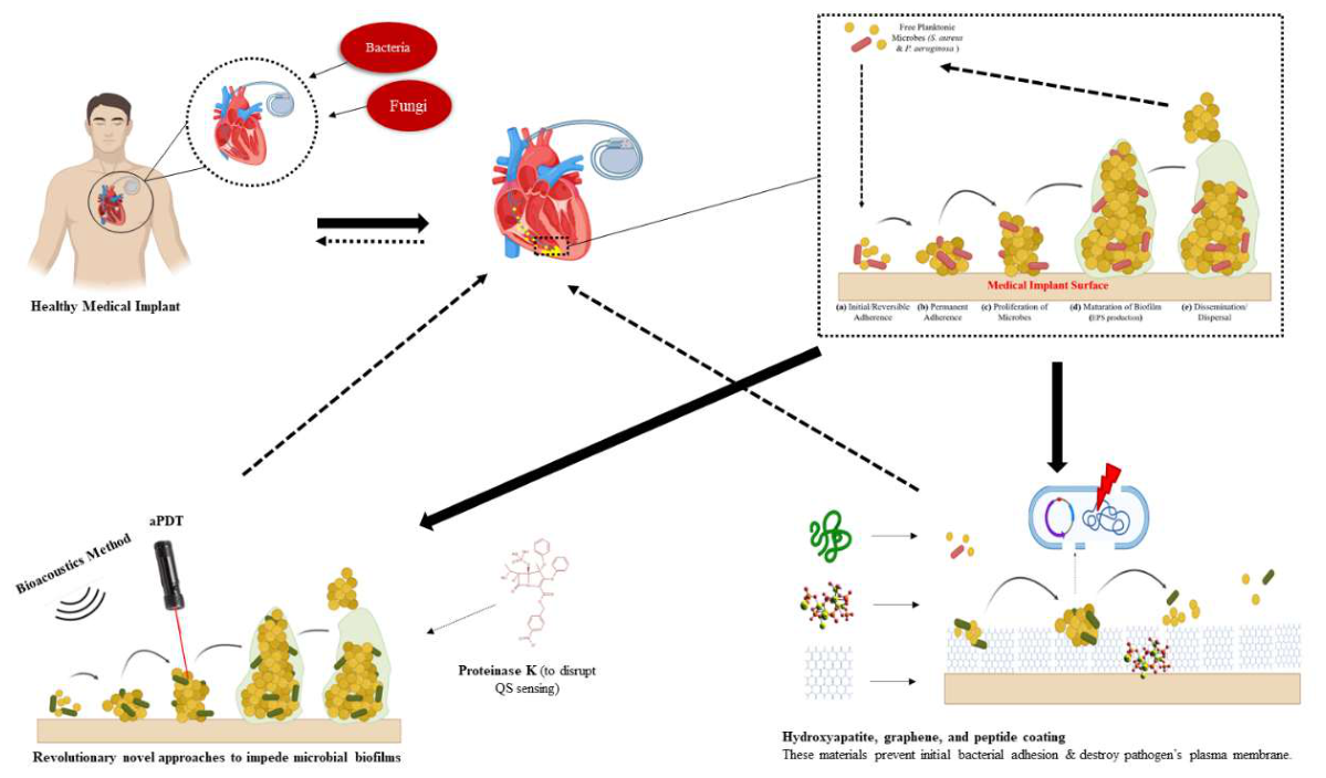 Preprints 218074 g001 Preprints 218074 g001