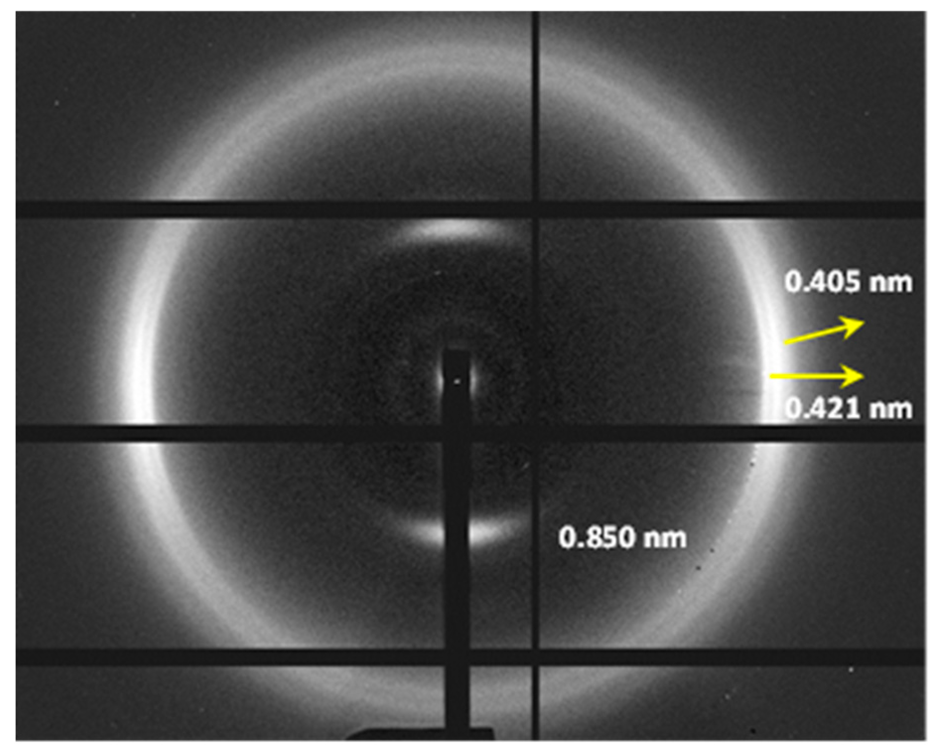 Preprints 155923 g011