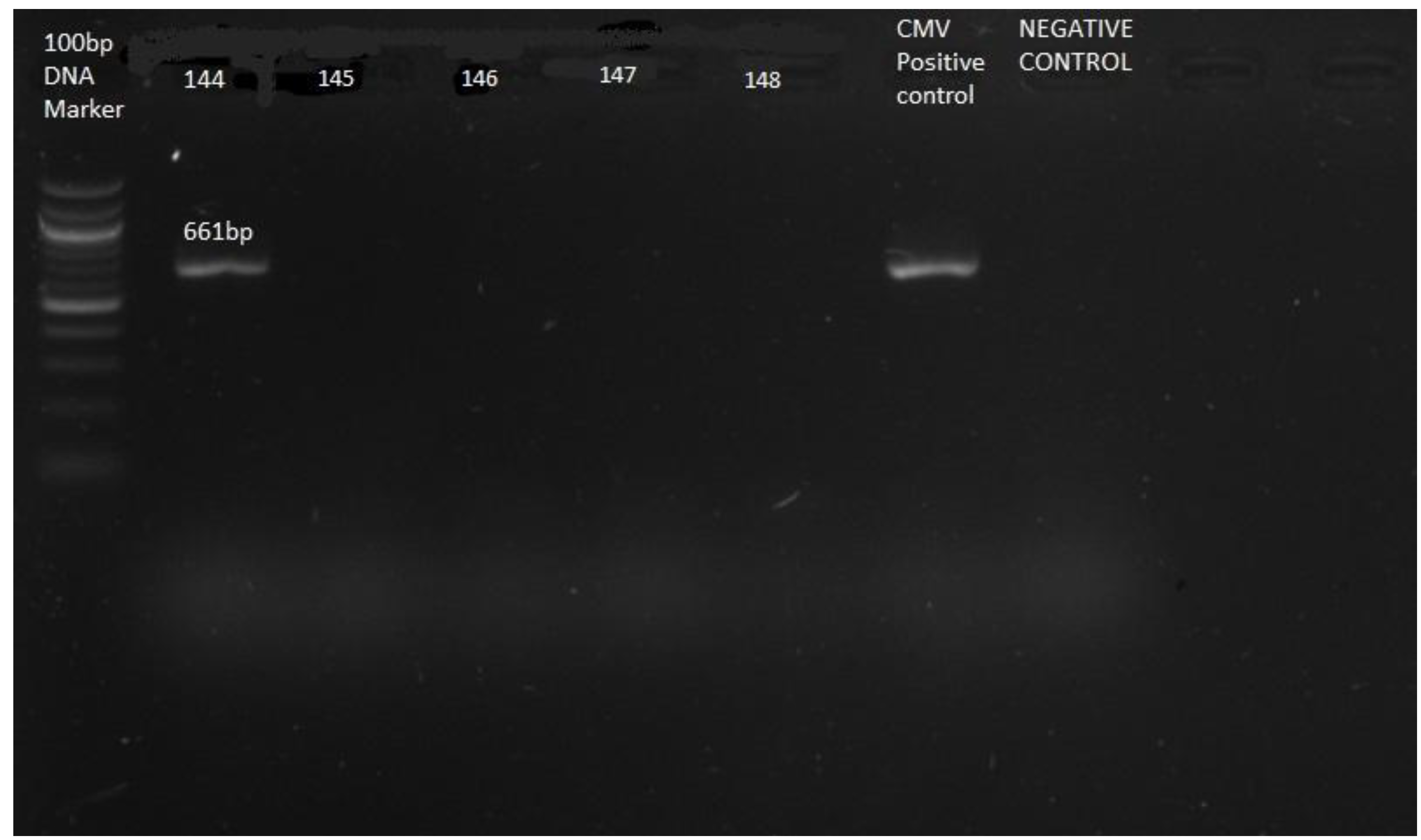 Preprints 196150 g001