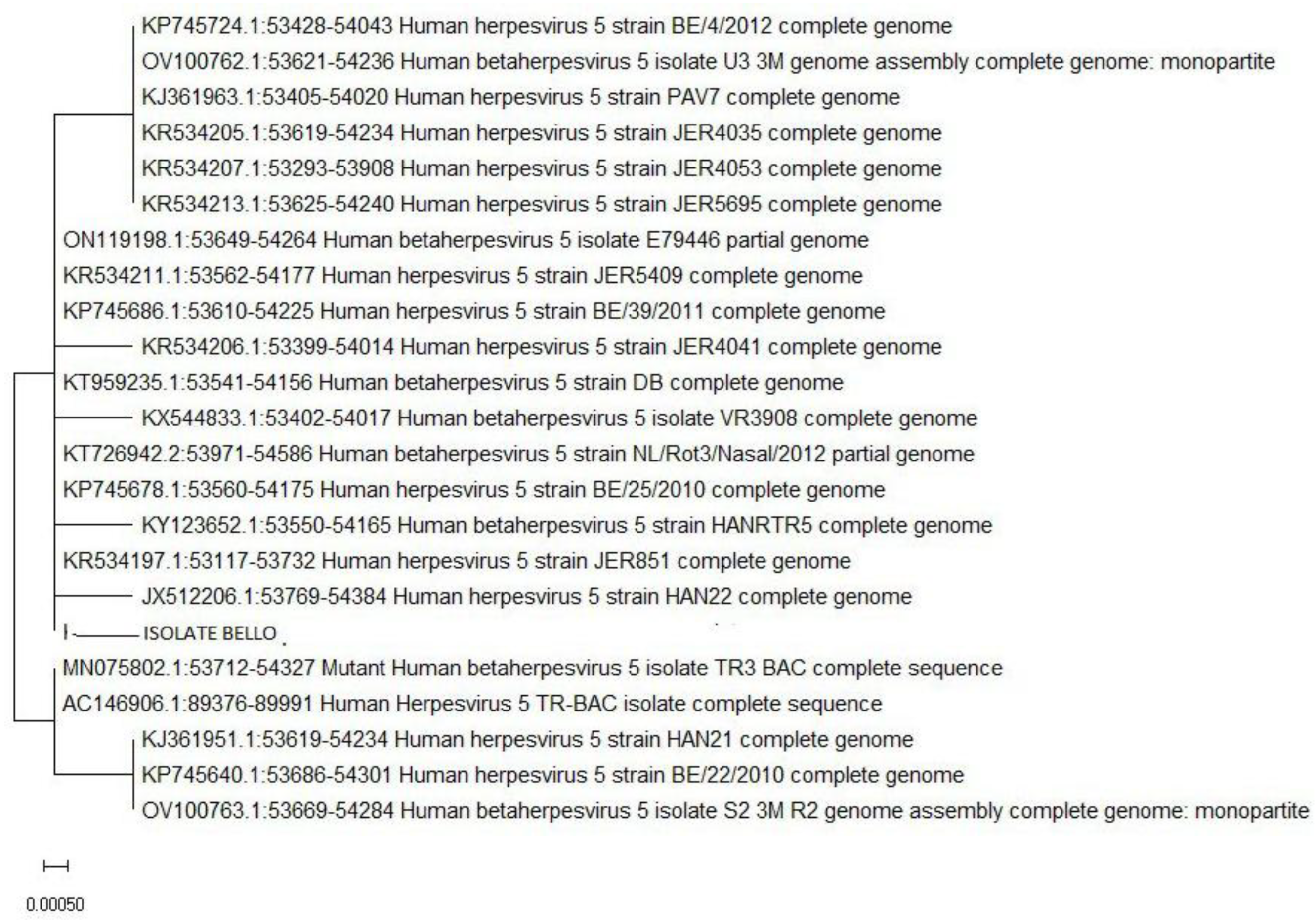 Preprints 196150 g002