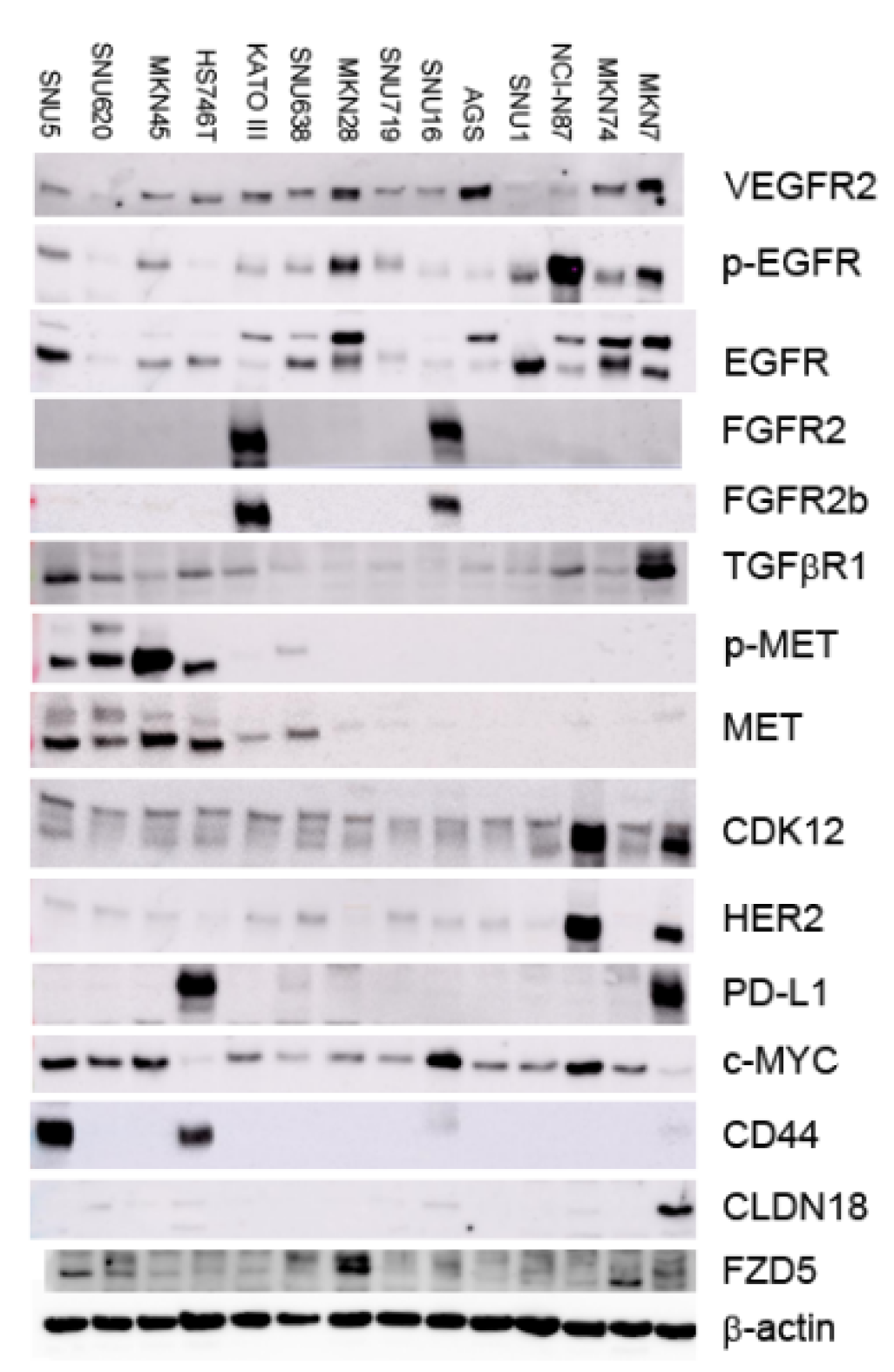 Preprints 196958 g003