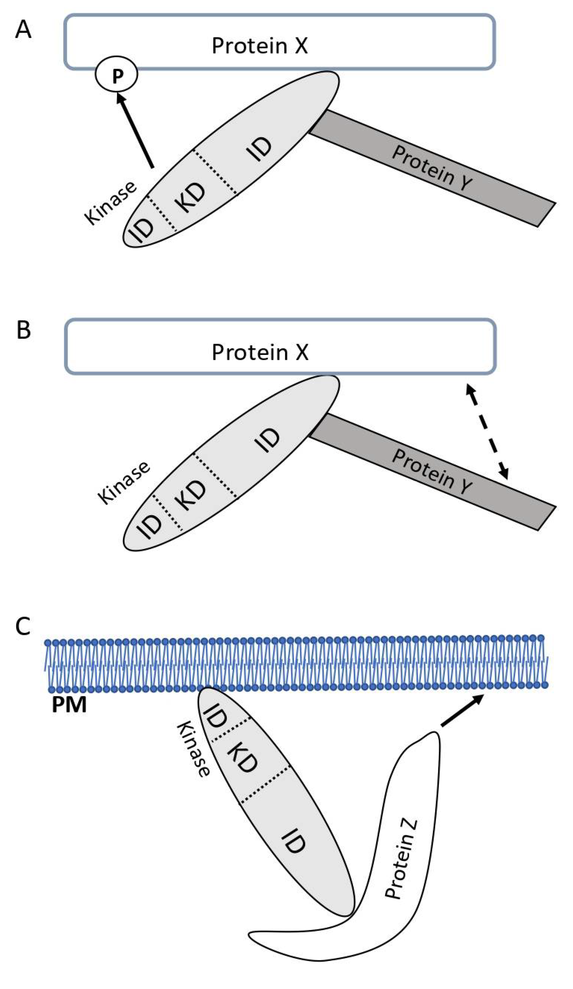 Preprints 105457 g001