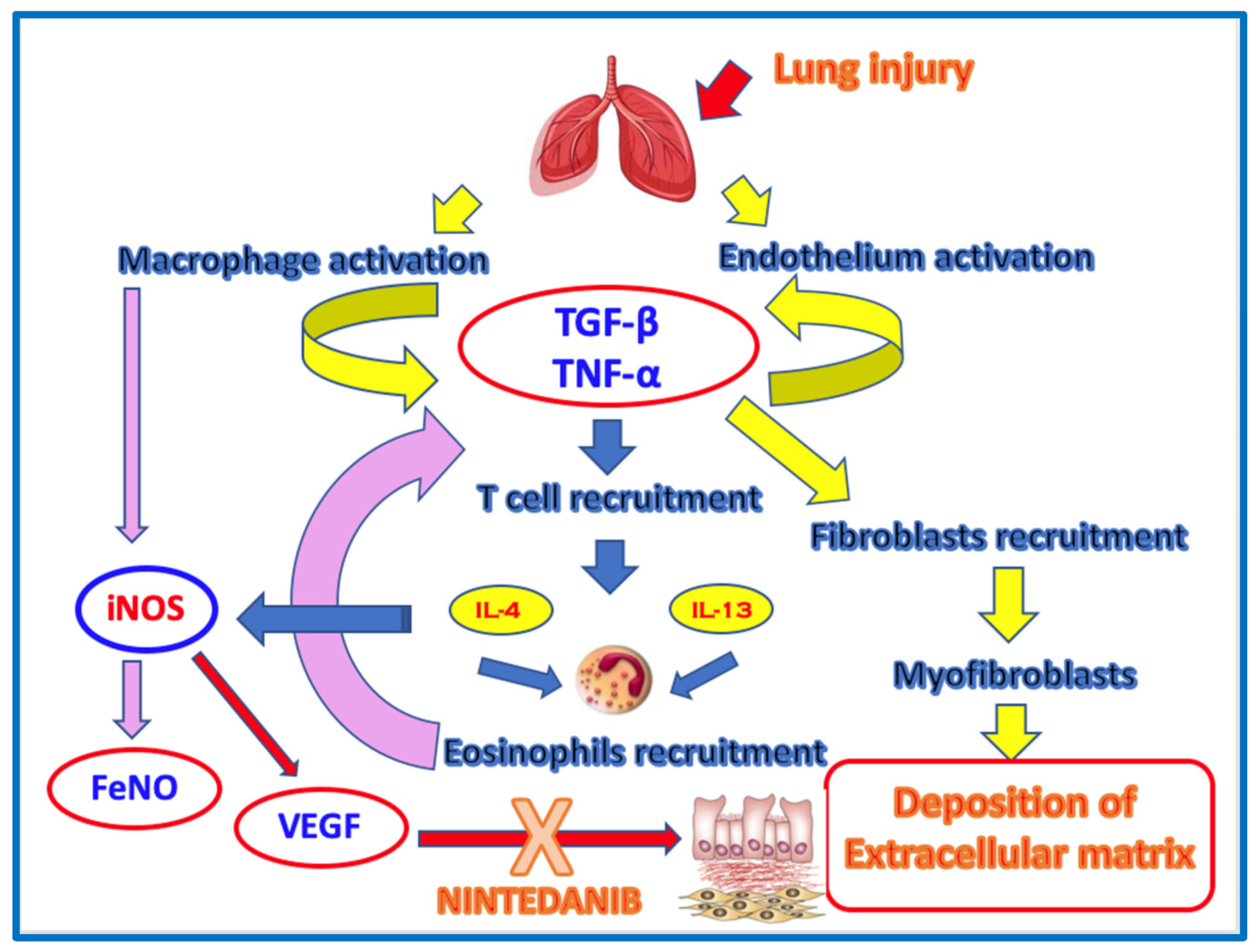 Preprints 145286 g006