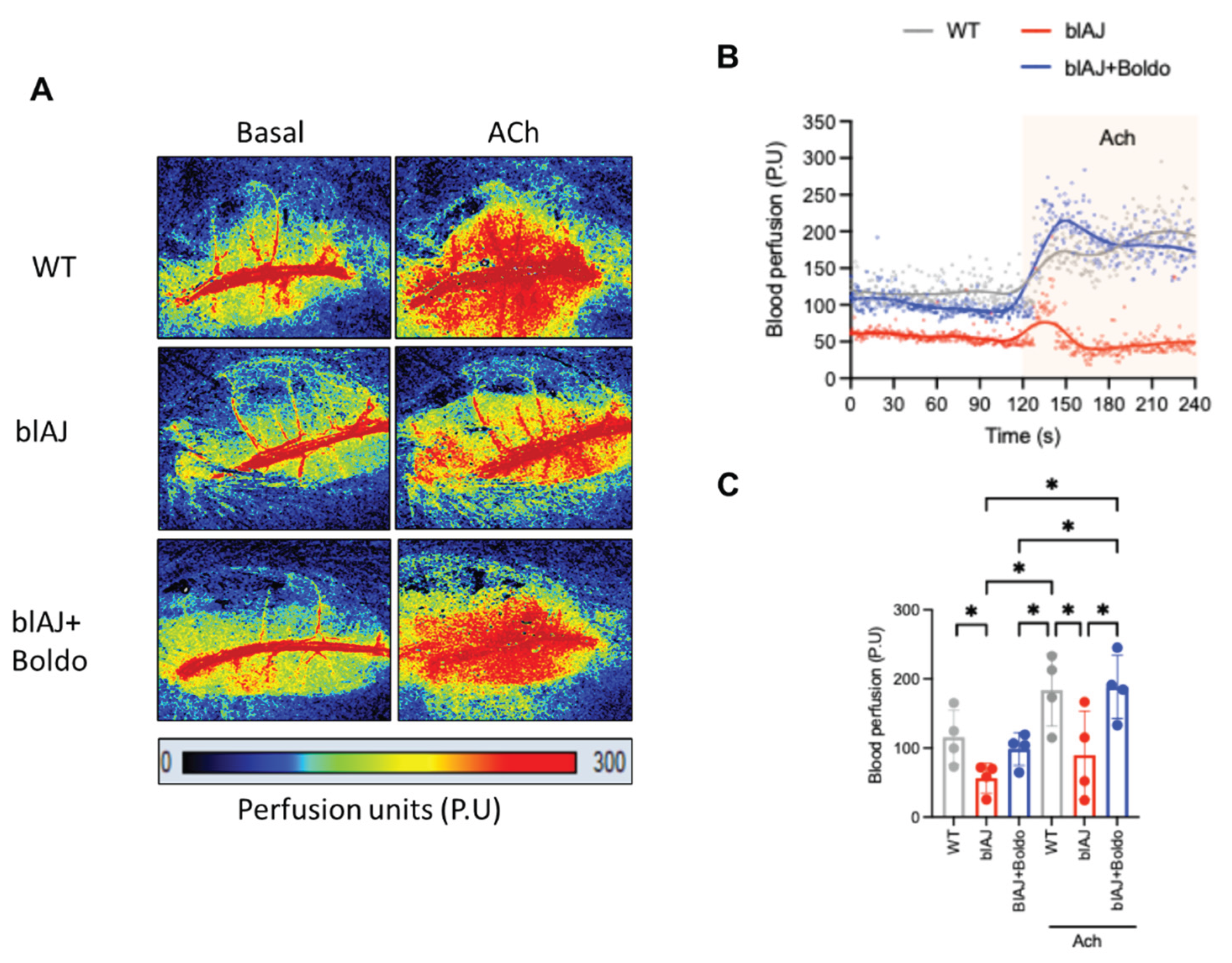 Preprints 172675 g002