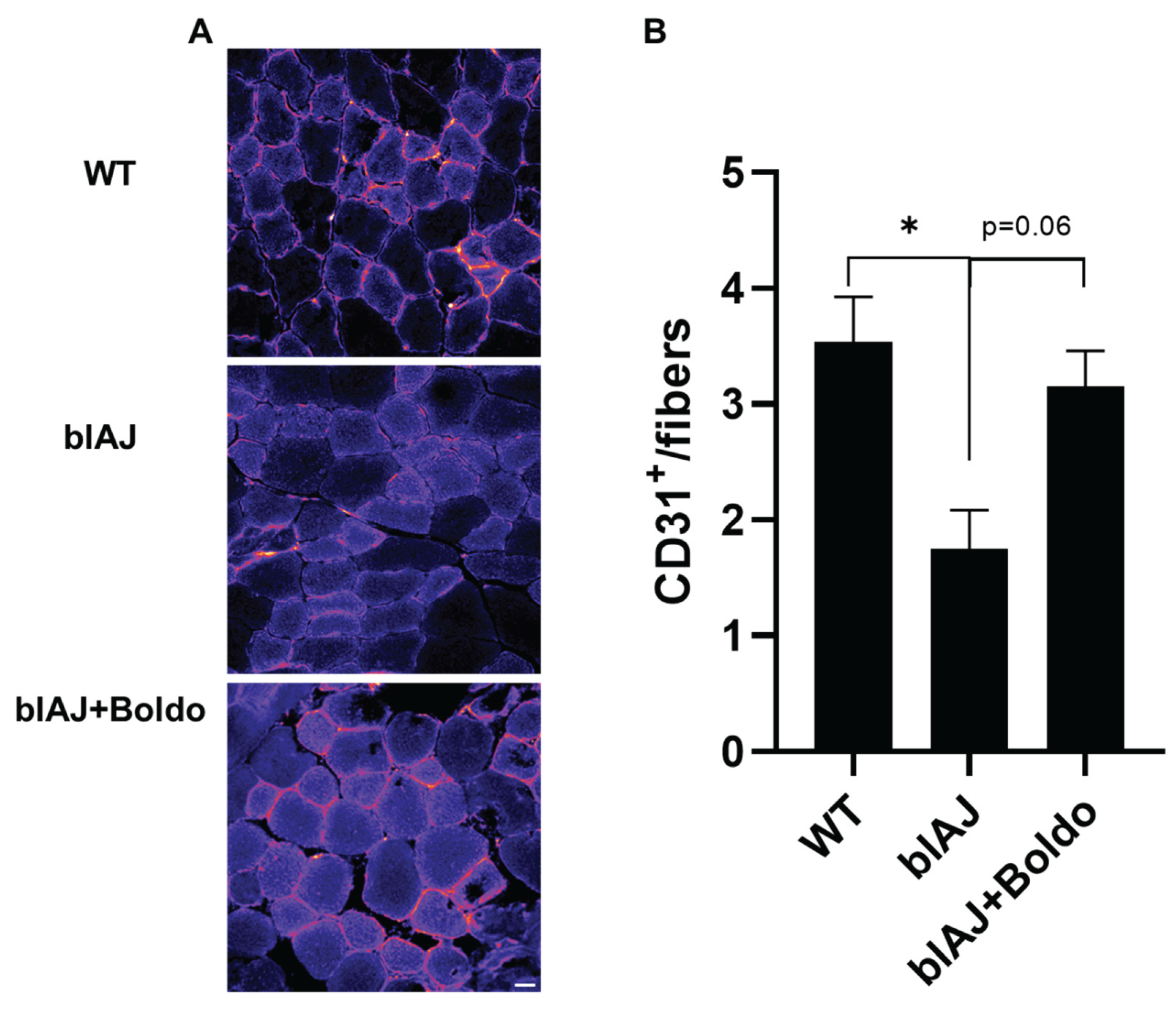 Preprints 172675 g003