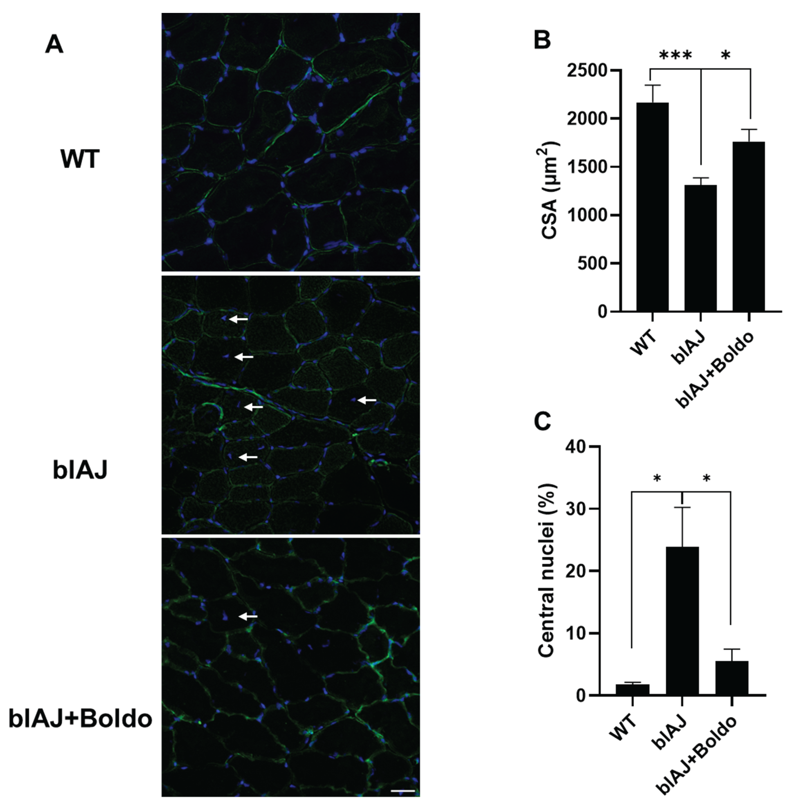 Preprints 172675 g004
