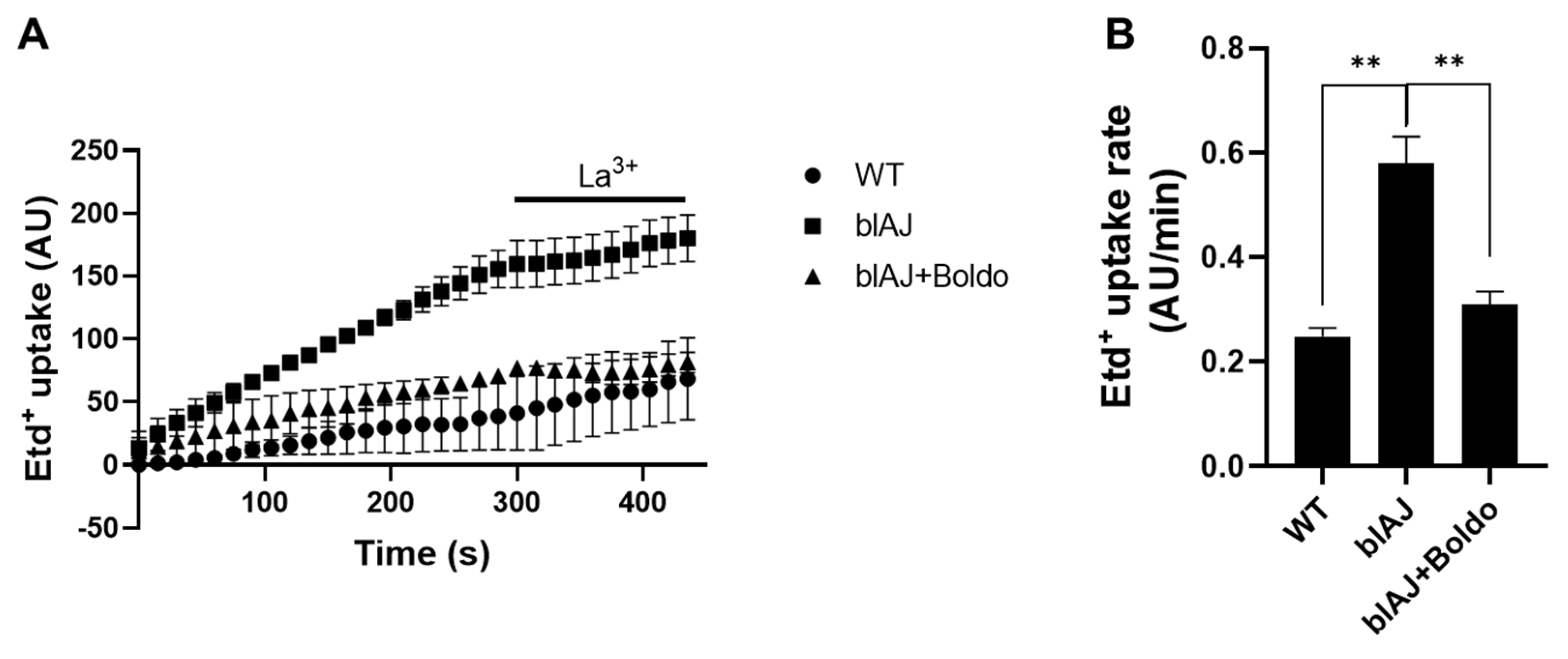 Preprints 172675 g007