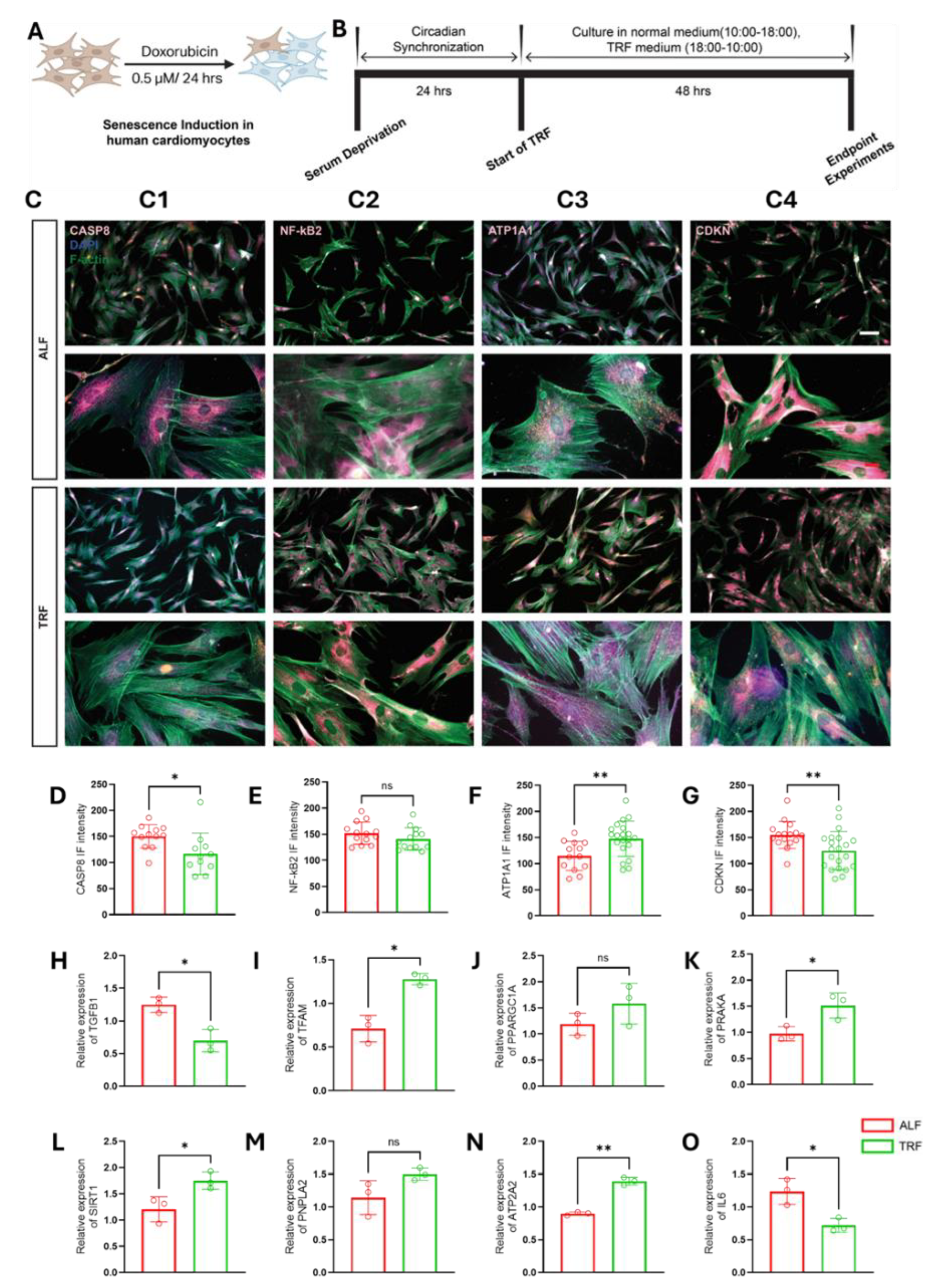 Preprints 213747 g001