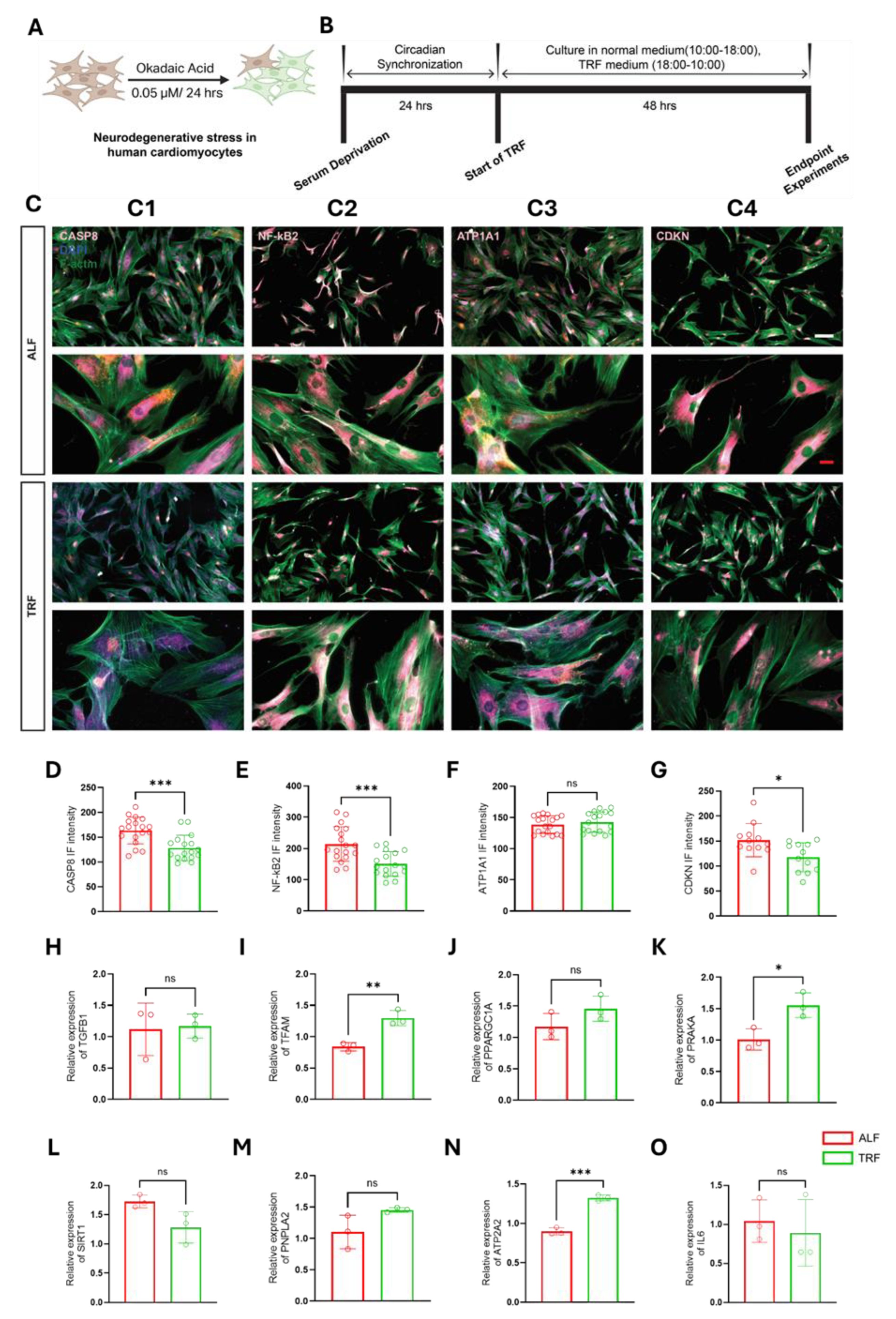 Preprints 213747 g002