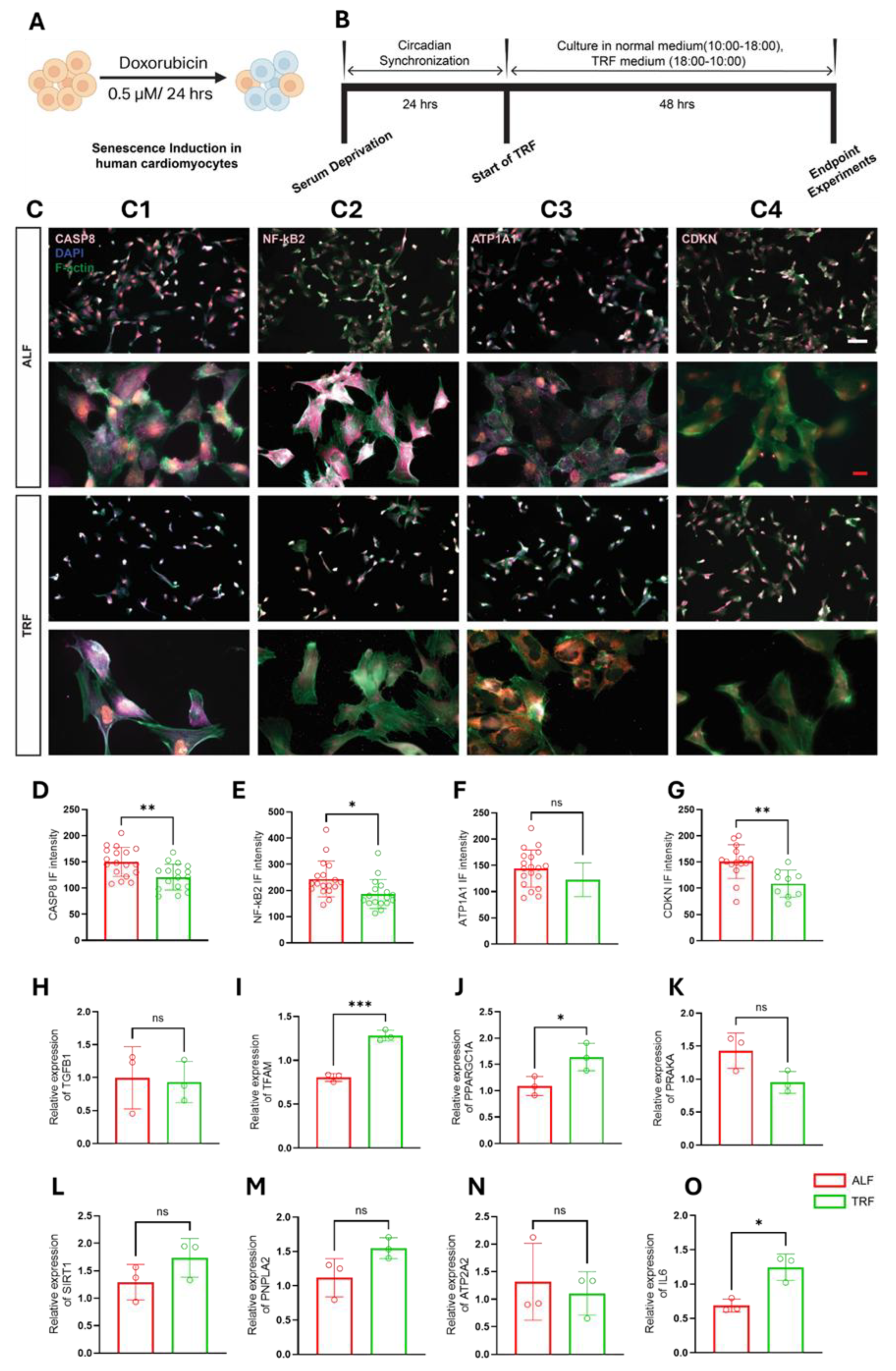 Preprints 213747 g003