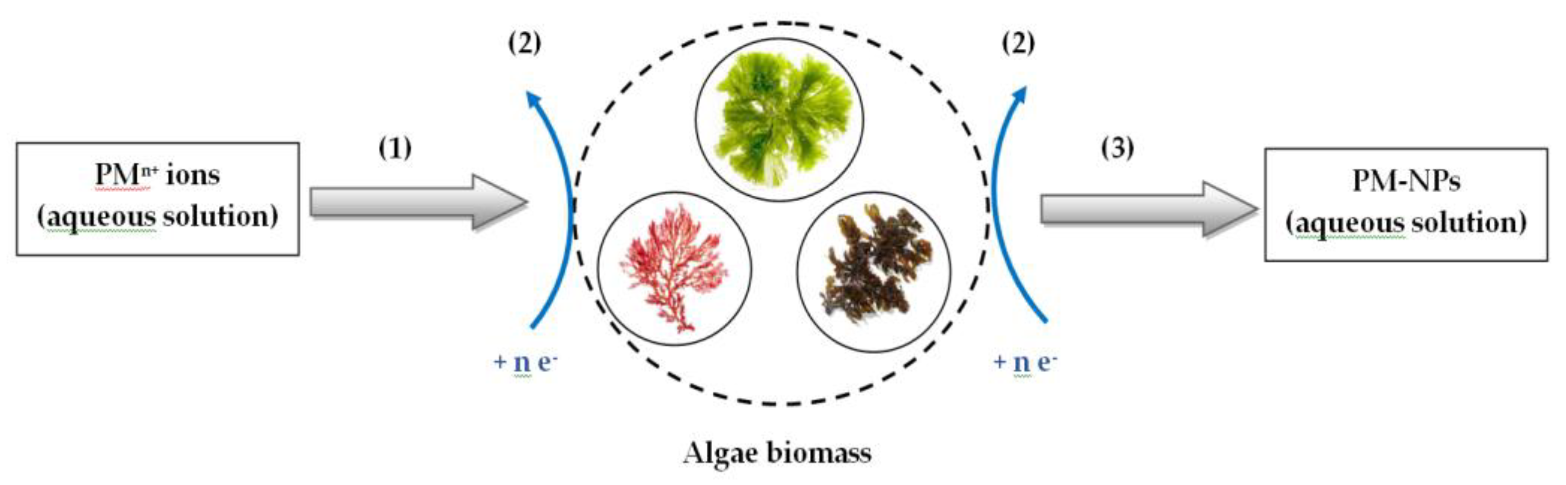 Preprints 174412 g002