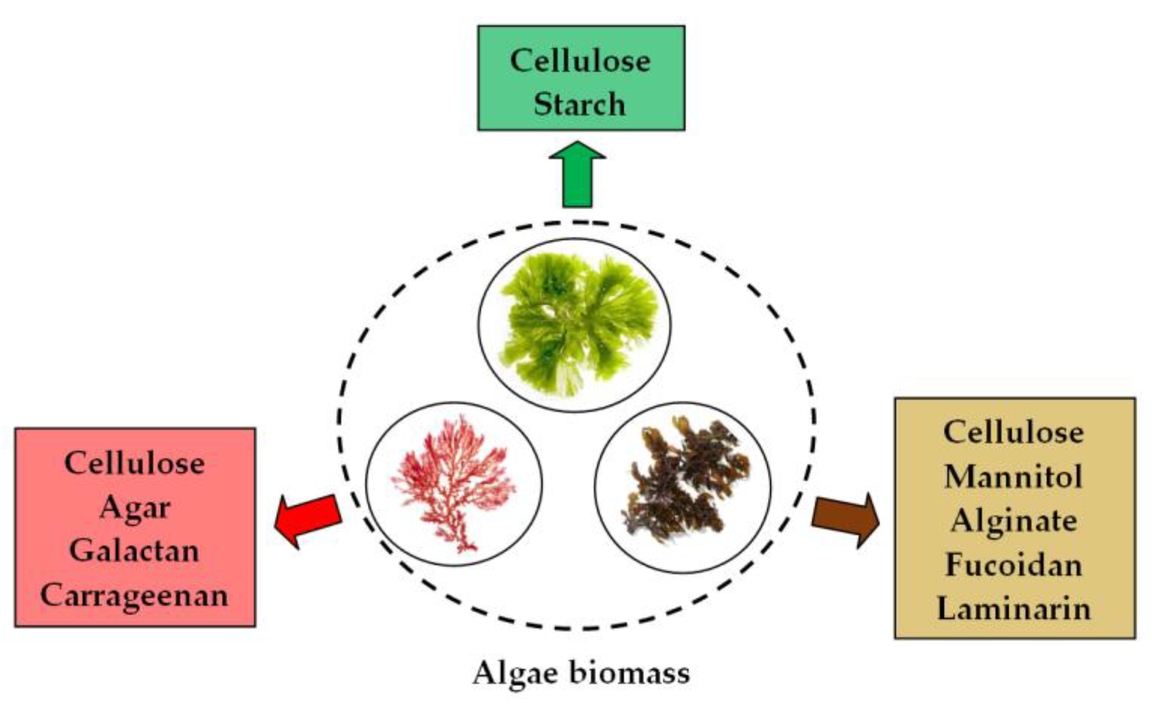 Preprints 174412 g003