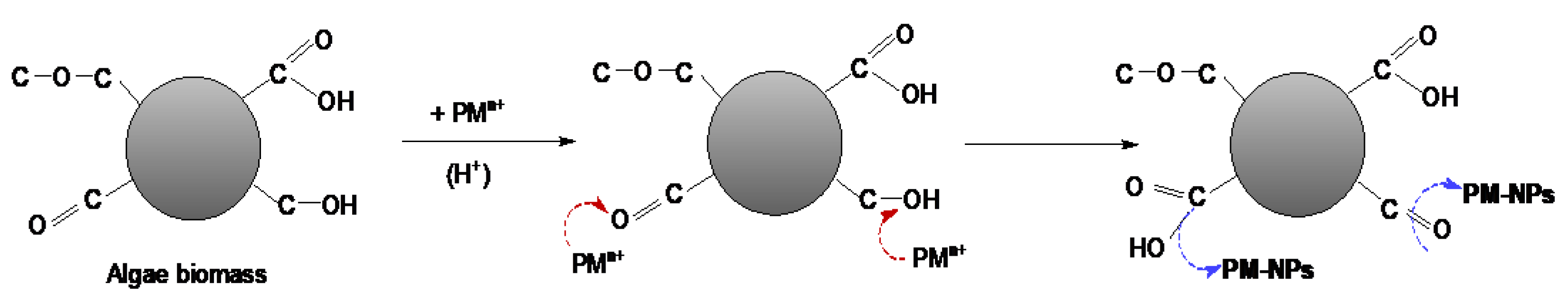 Preprints 174412 g004