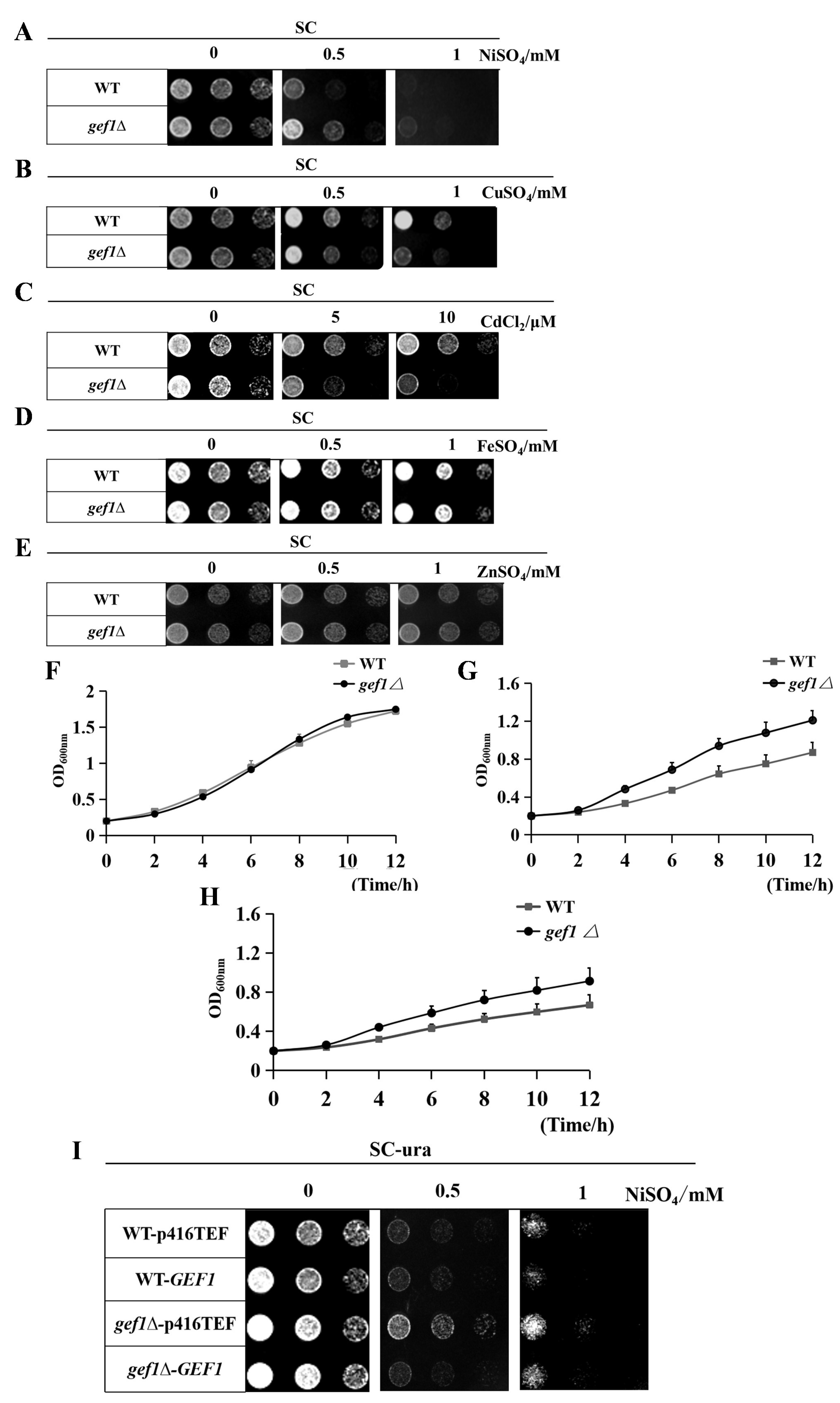 Preprints 146108 g001